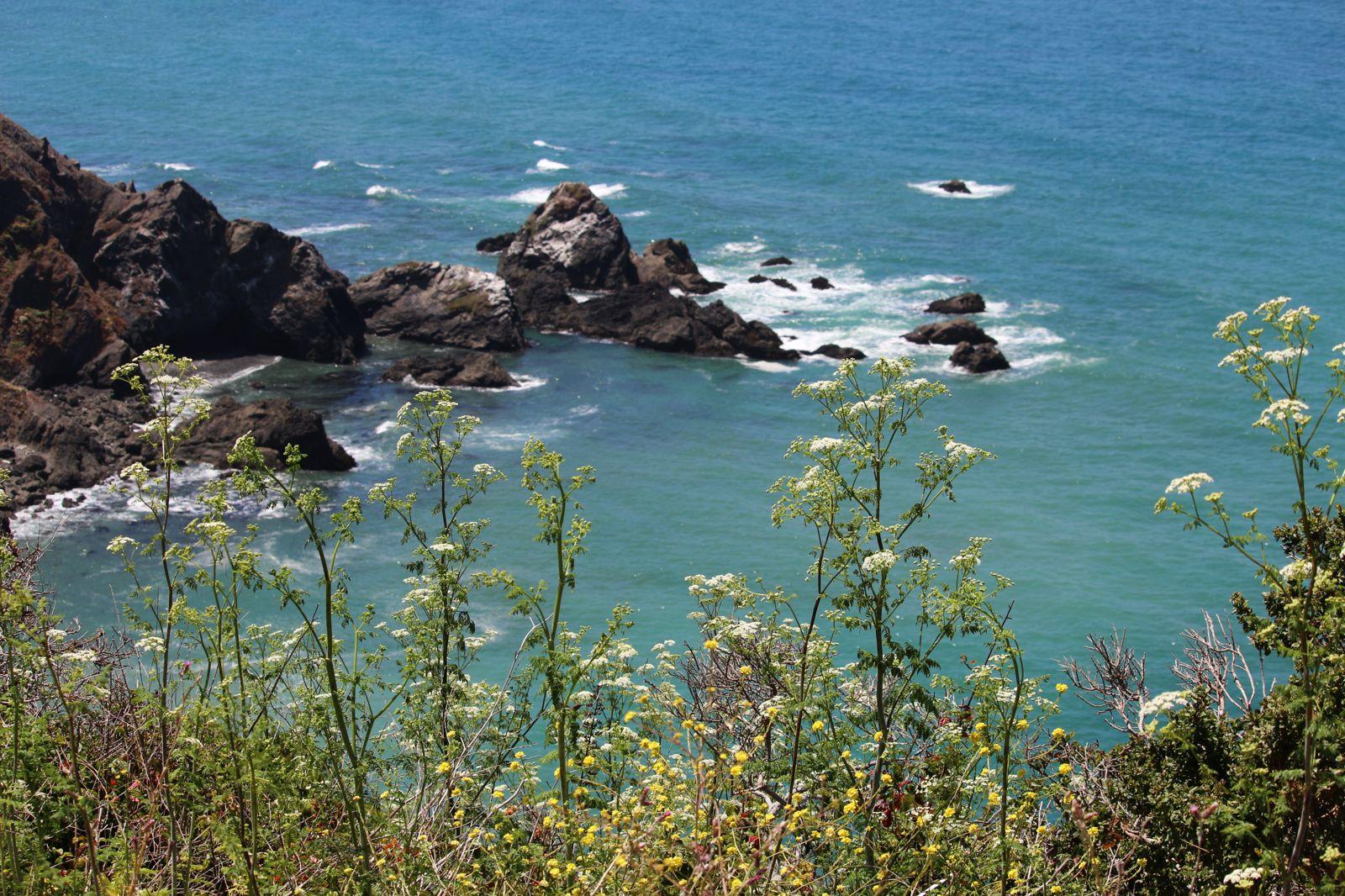 1600x1066 Water Sea Ocean Rocks Plants Wallpaper.com. Best High Quality Wallpaper