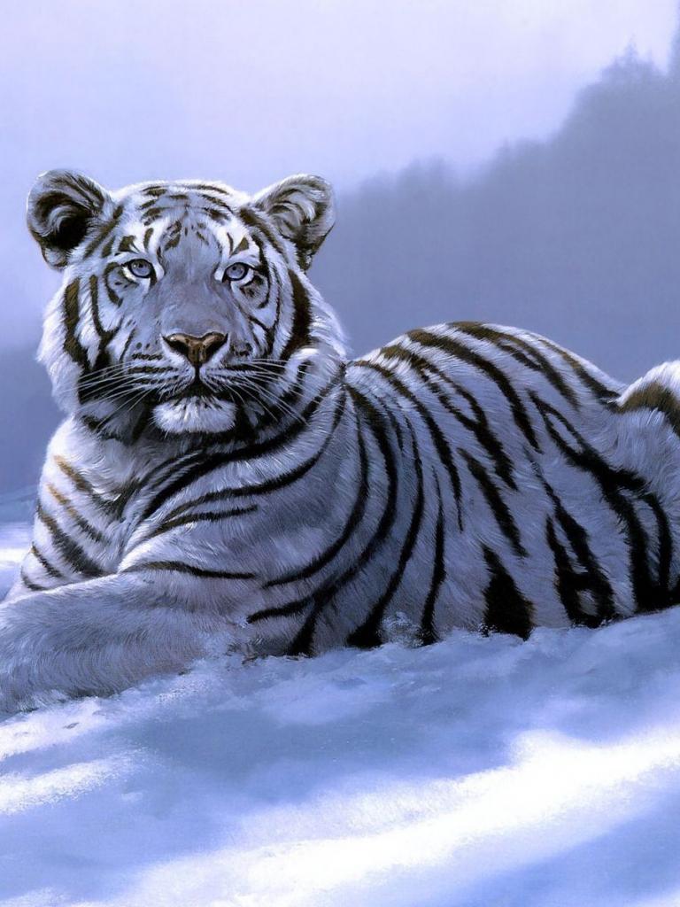 768x1024 Free download white tiger wallpaper desktop which is under the tiger wallpaper [1920x1200] for your Desktop, Mobile & Tablet. Explore Tiger Wallpaper for Desktop. Tiger Wallpaper, White Tiger Wallpaper