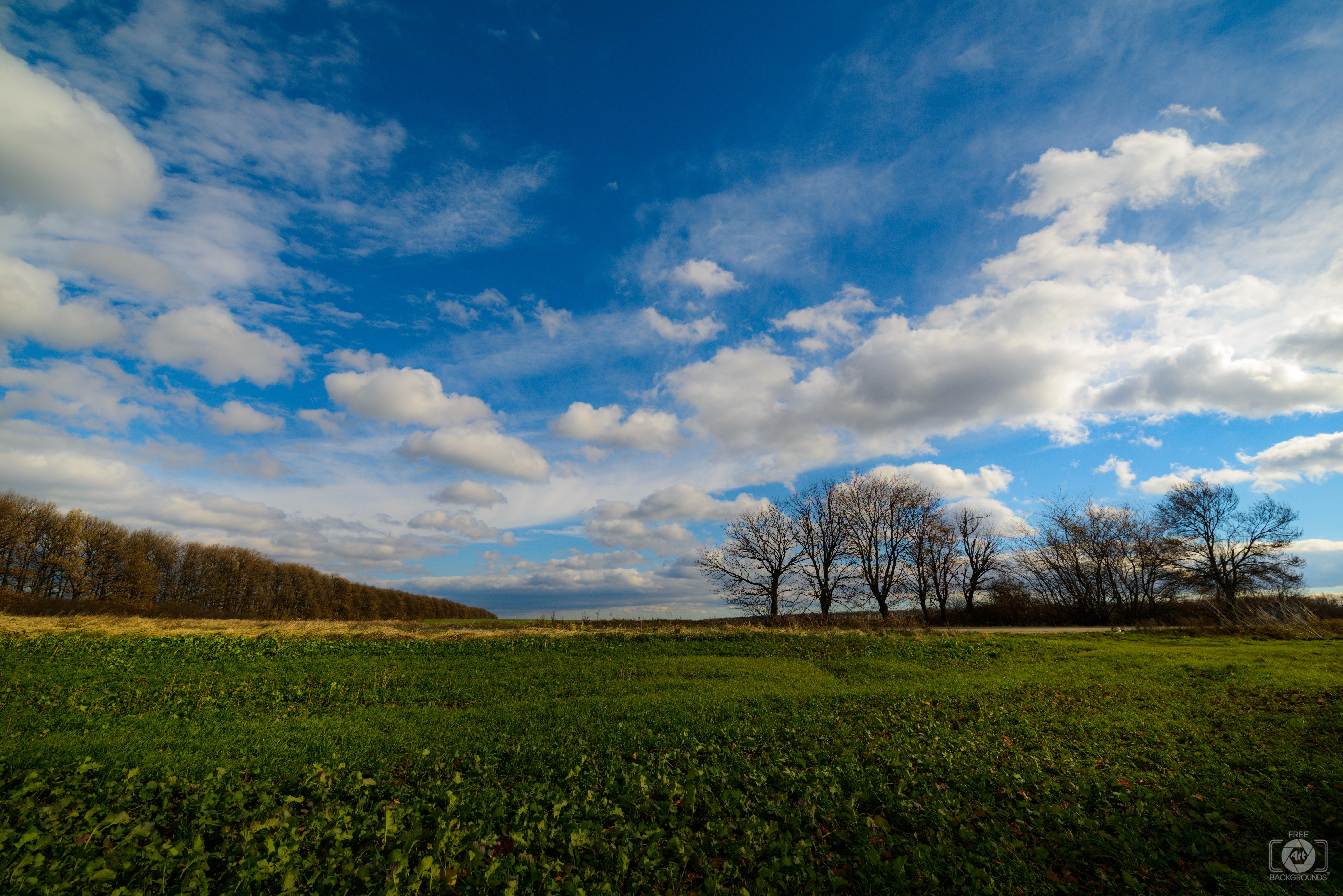 7360x4912 Autumn Rural Landscape Background Quality Free Background