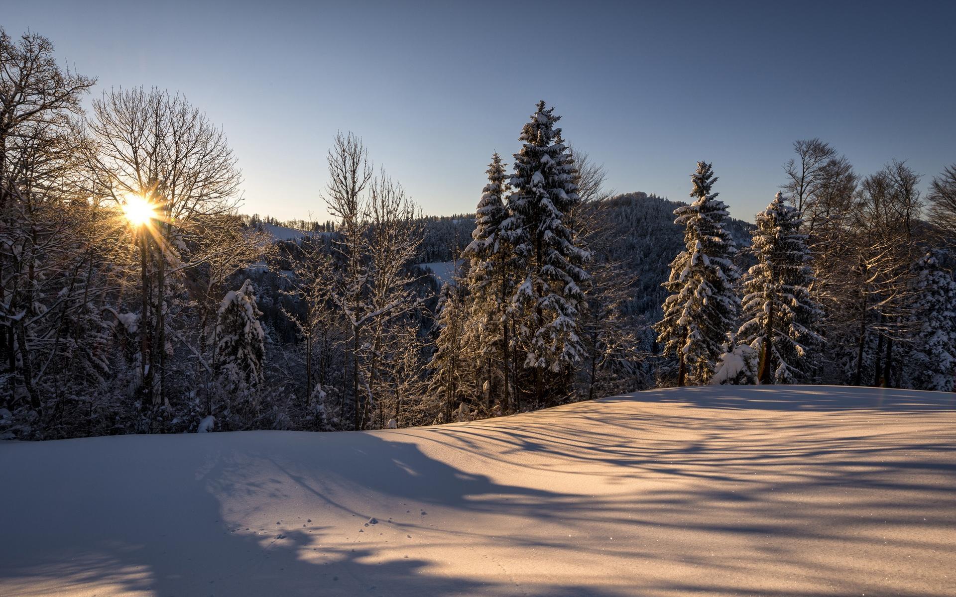 1920x1200 Winter Rural Landscape Wallpaper