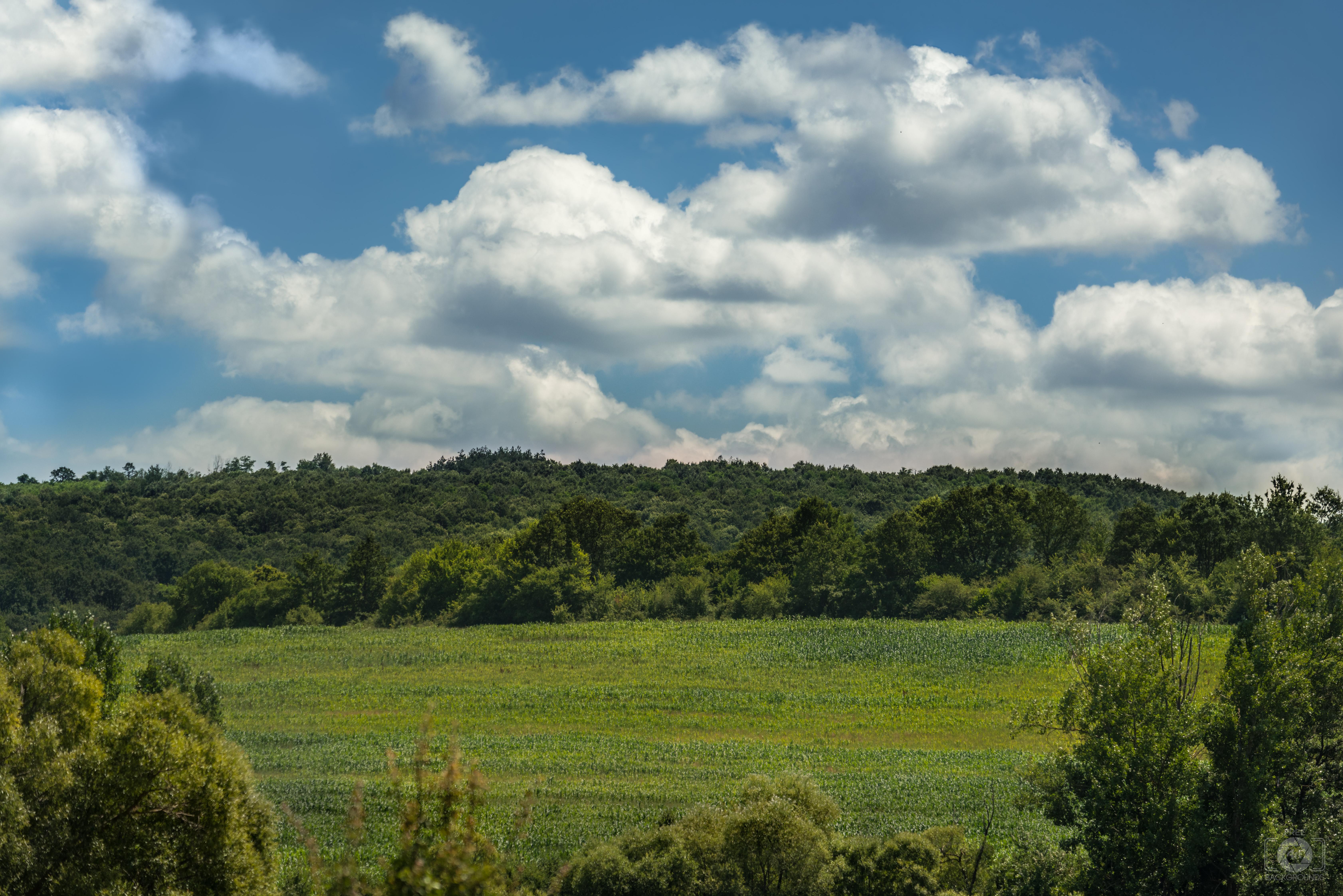 6727x4489 Rural Meadow Landscape Background Quality Free Background