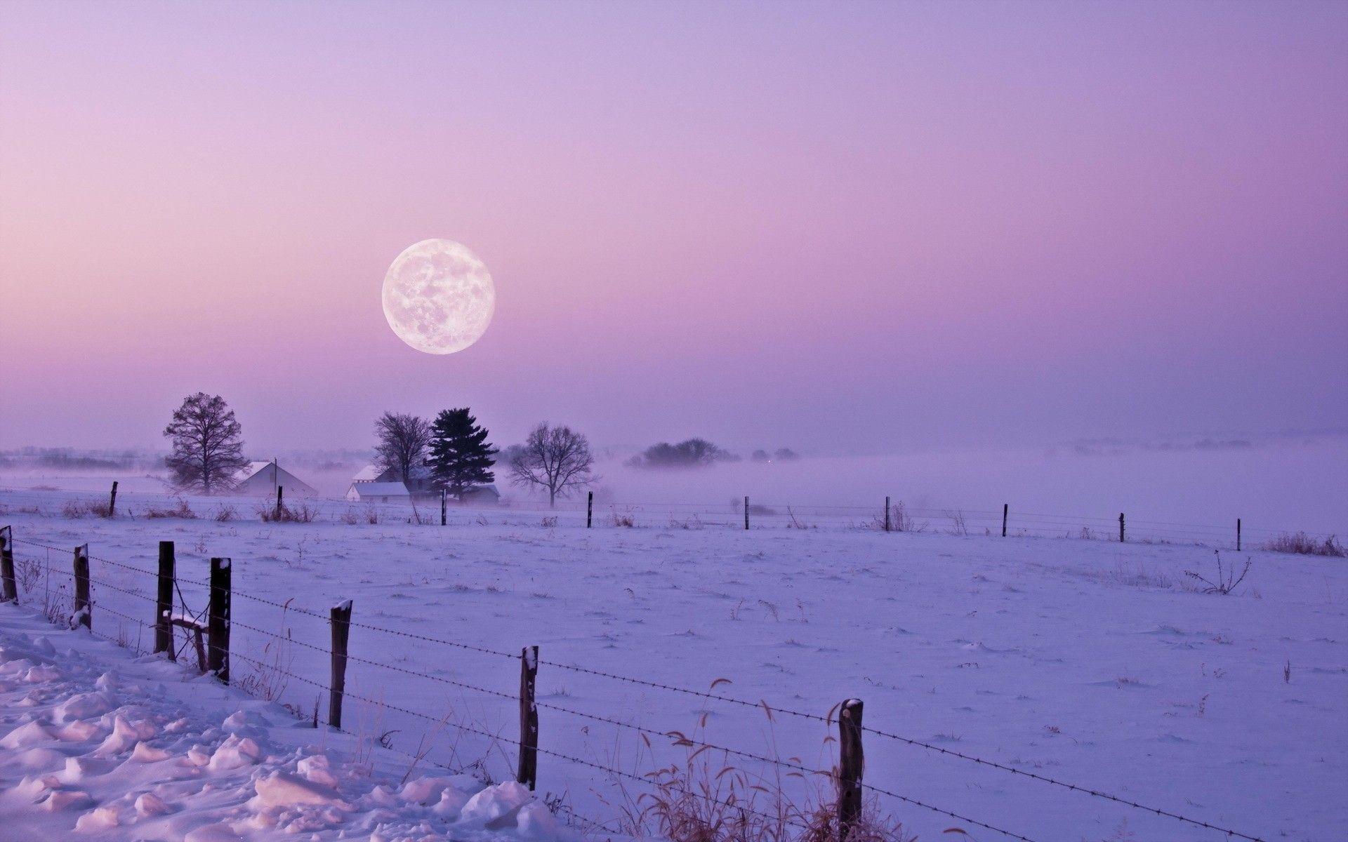 Светит луна или падает снег. Зимнее поле. Снежное поле. Зимнее небо. Снежная равнина ночью.