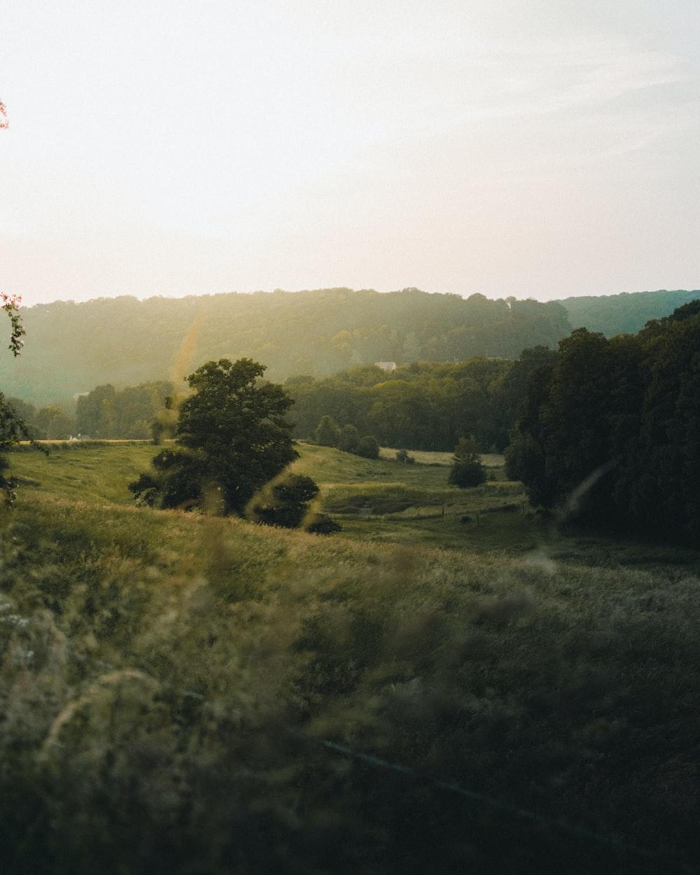 1000x1250 Countryside Picture. Download Free Image