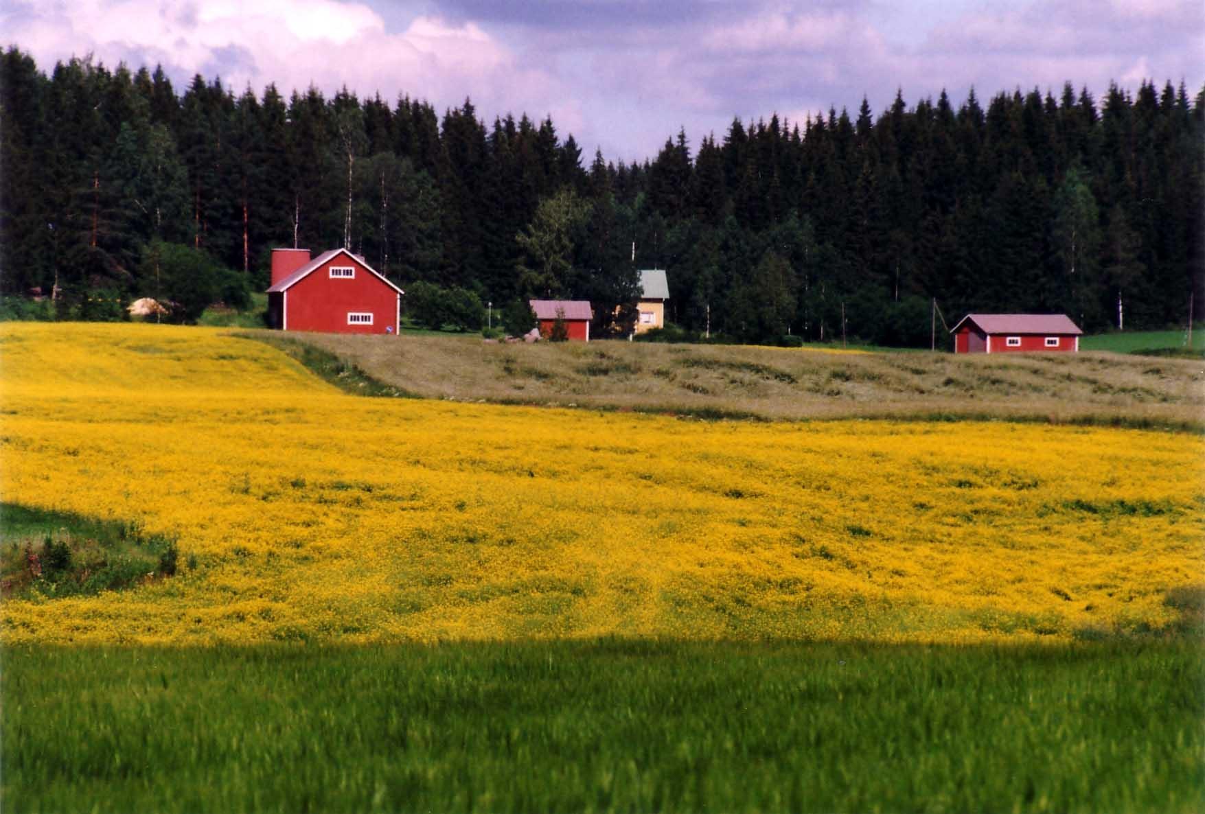1755x1186 Rural