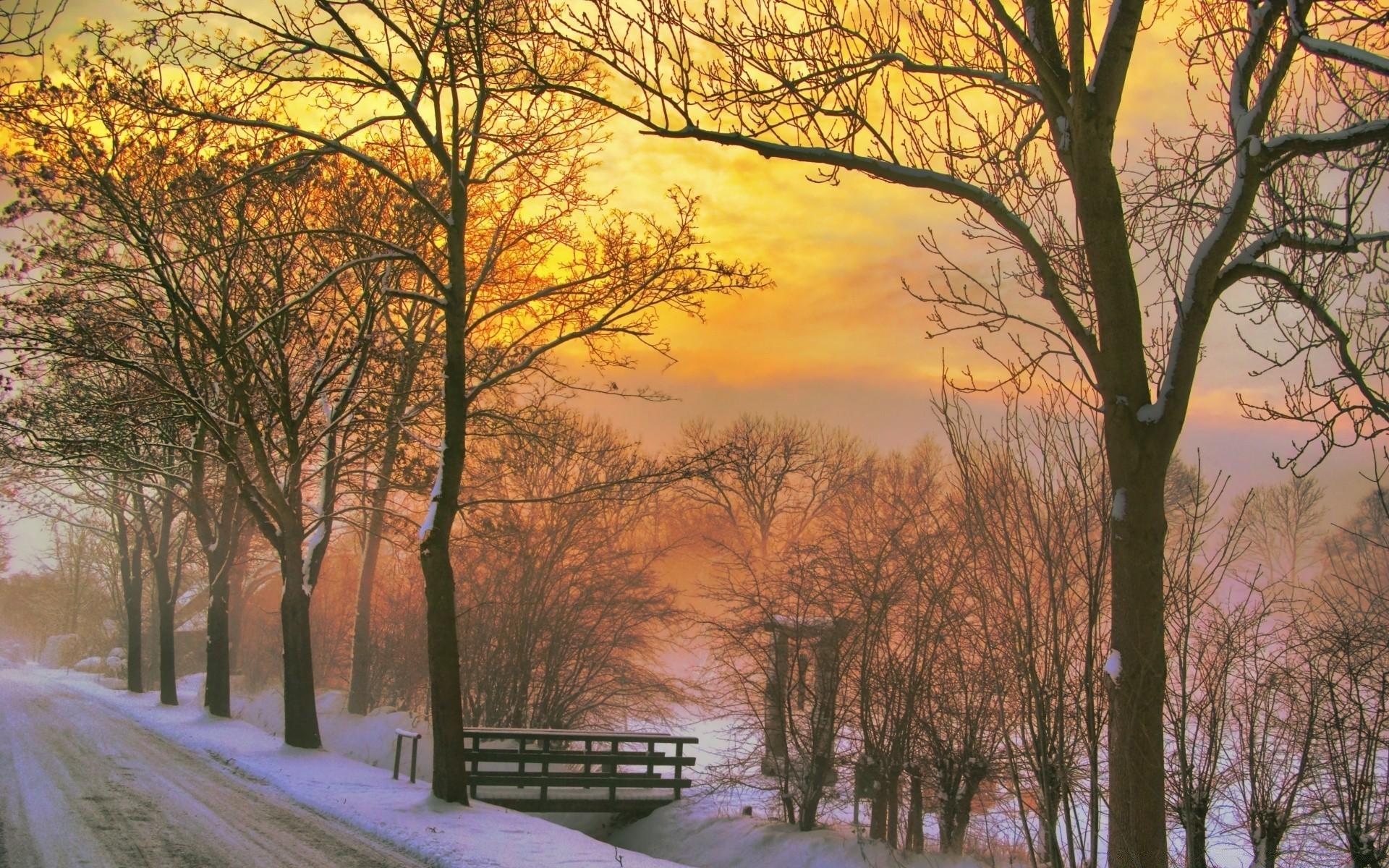 1920x1200 Golden Winter Sunset