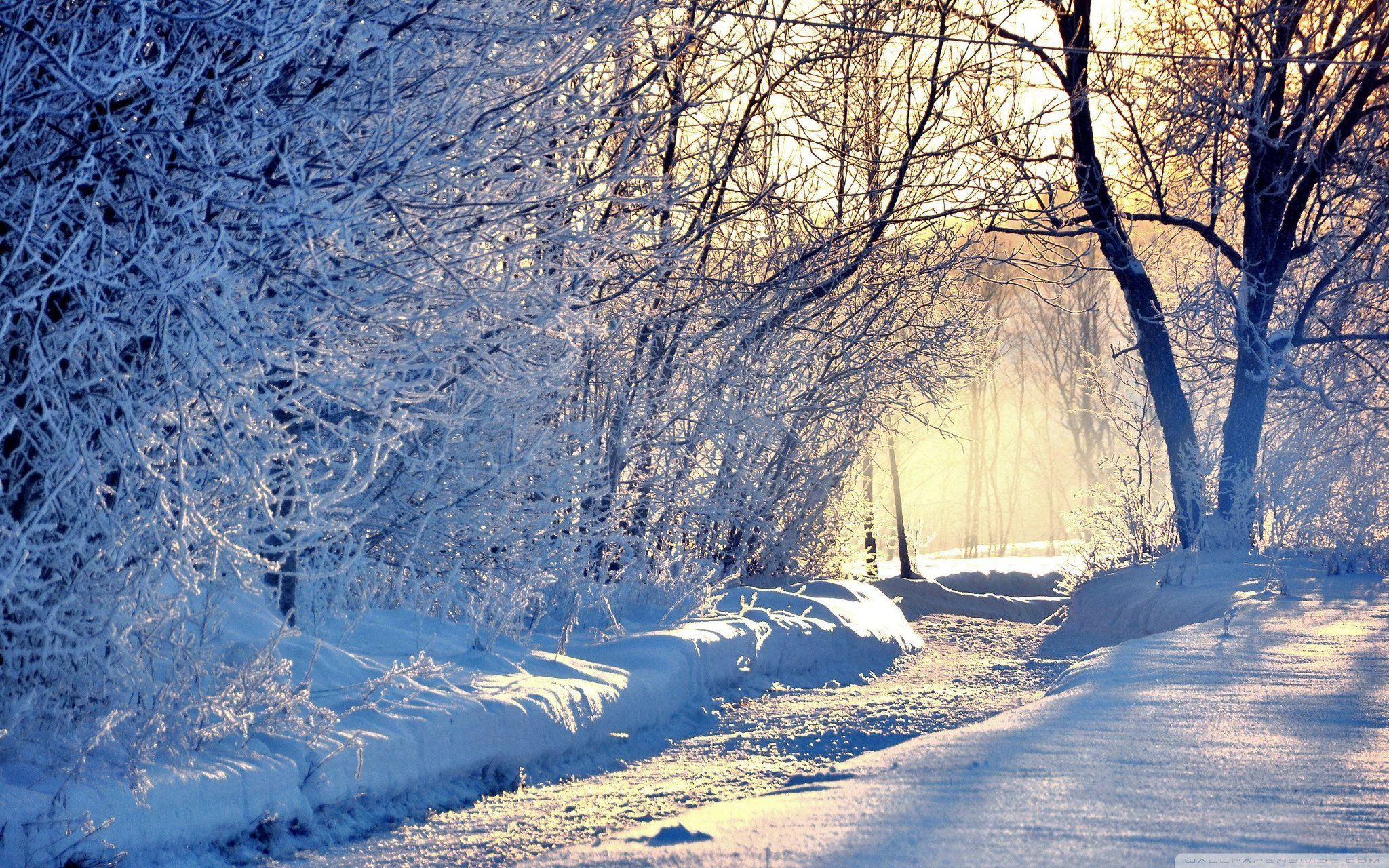 2048x1280 Hugo (Alessandro) ⚓️ on Twitter. Winter wallpaper, Winter picture, Winter wallpaper hd