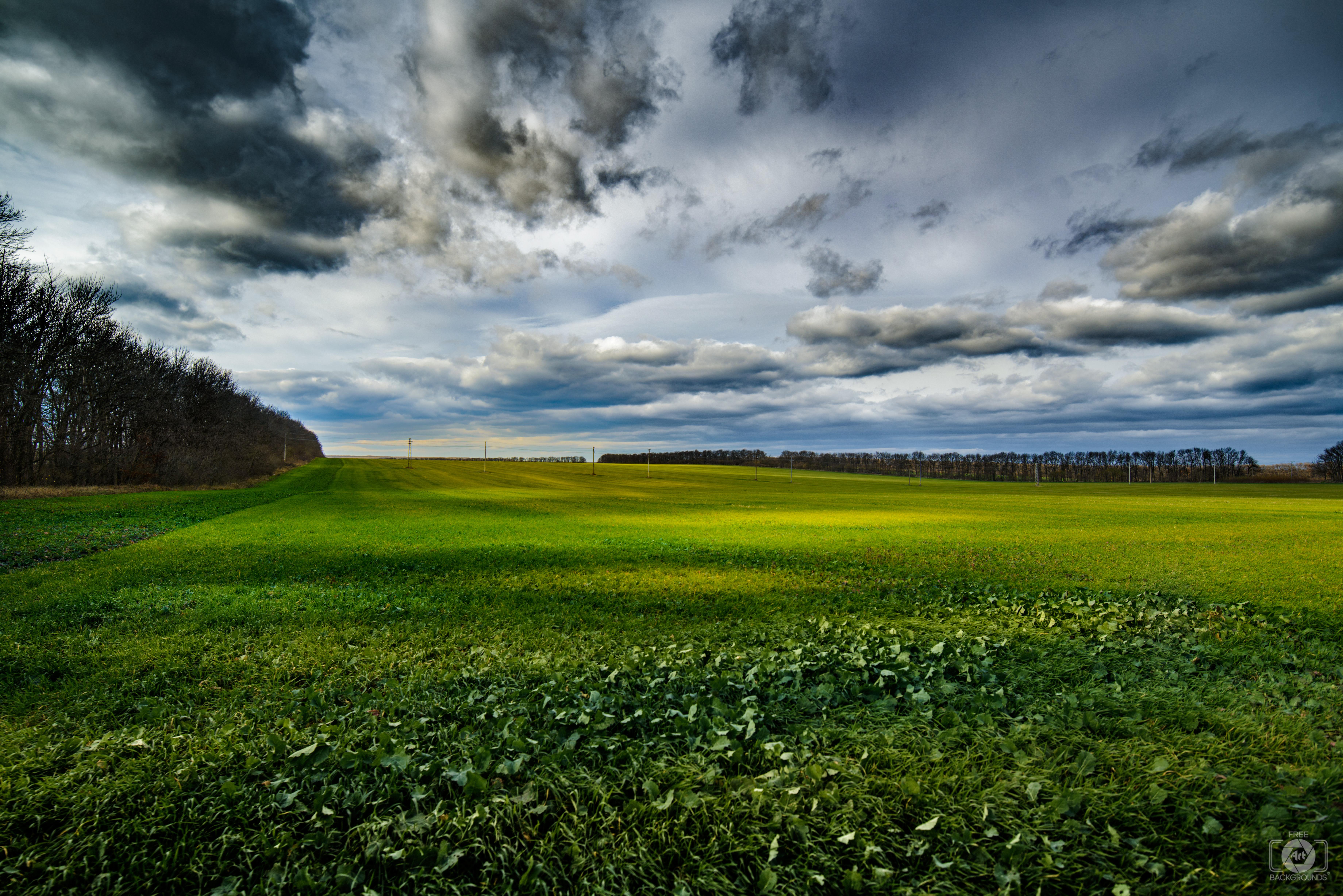 7360x4912 Rural Landscape Background Quality Free Background