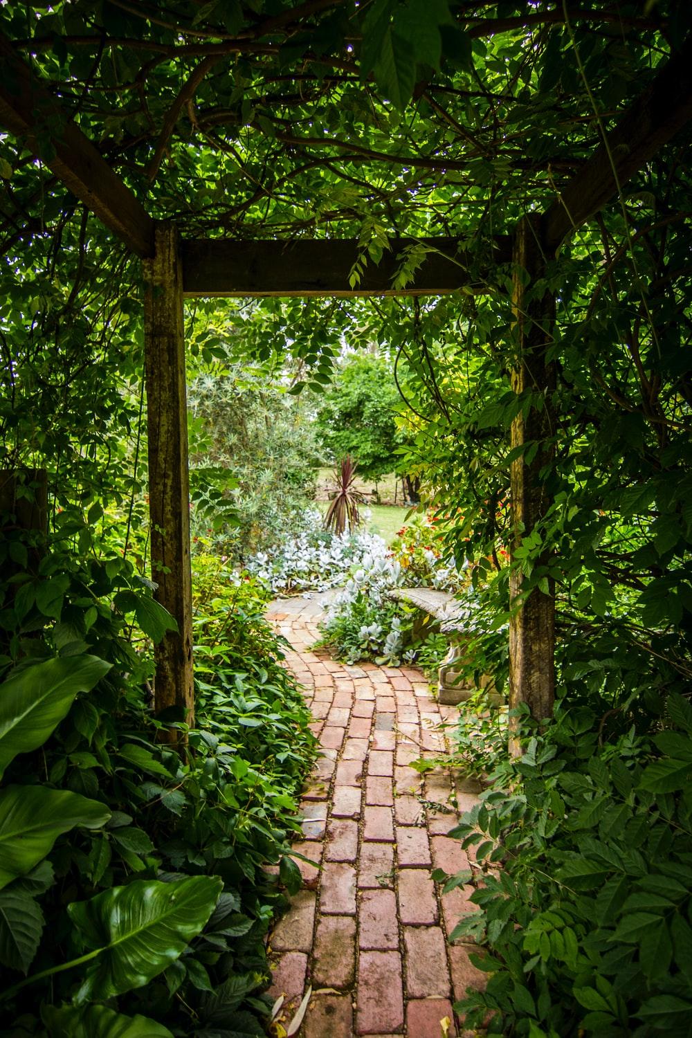 1000x1500 Japanese Zen Garden Picture. Download Free Image