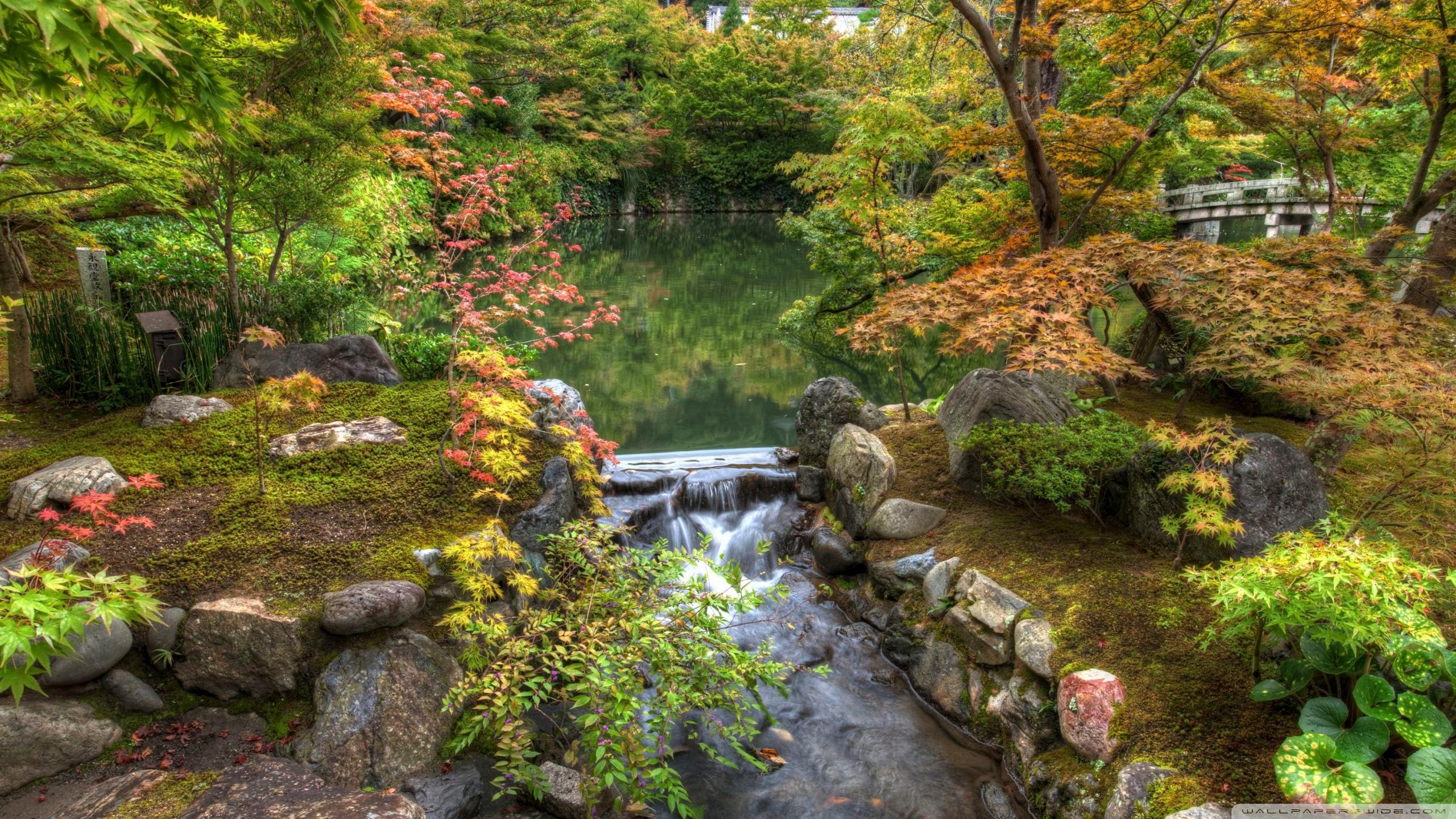 2560x1440 Japanese Garden Full HD