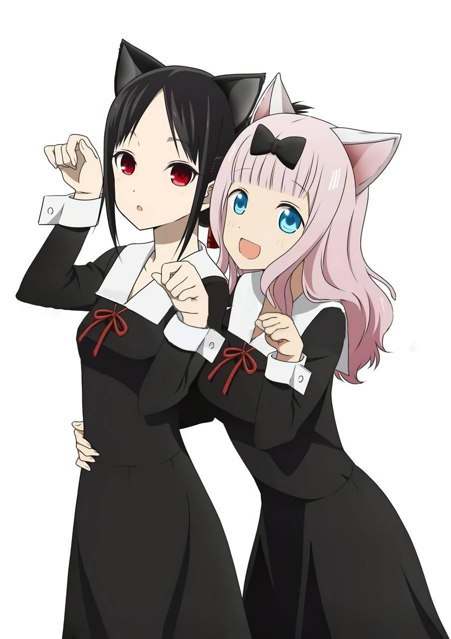 904x1280 Kaguya Sama Wallpaper
