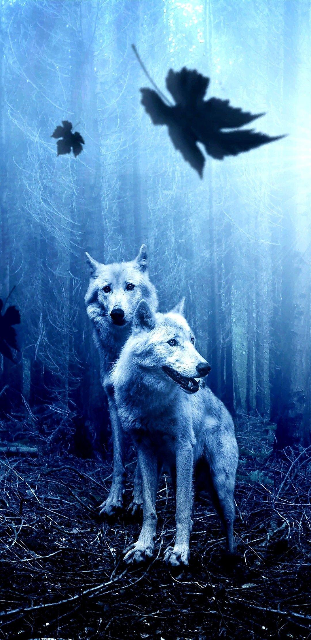1080x2220 Wolf Wallpaper ideas. wolf, wolf wallpaper, wolf spirit