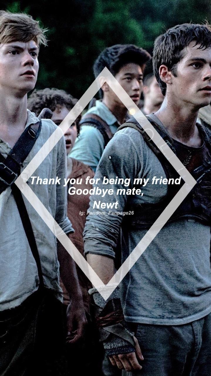 719x1280 Maze Runner Wallpaper