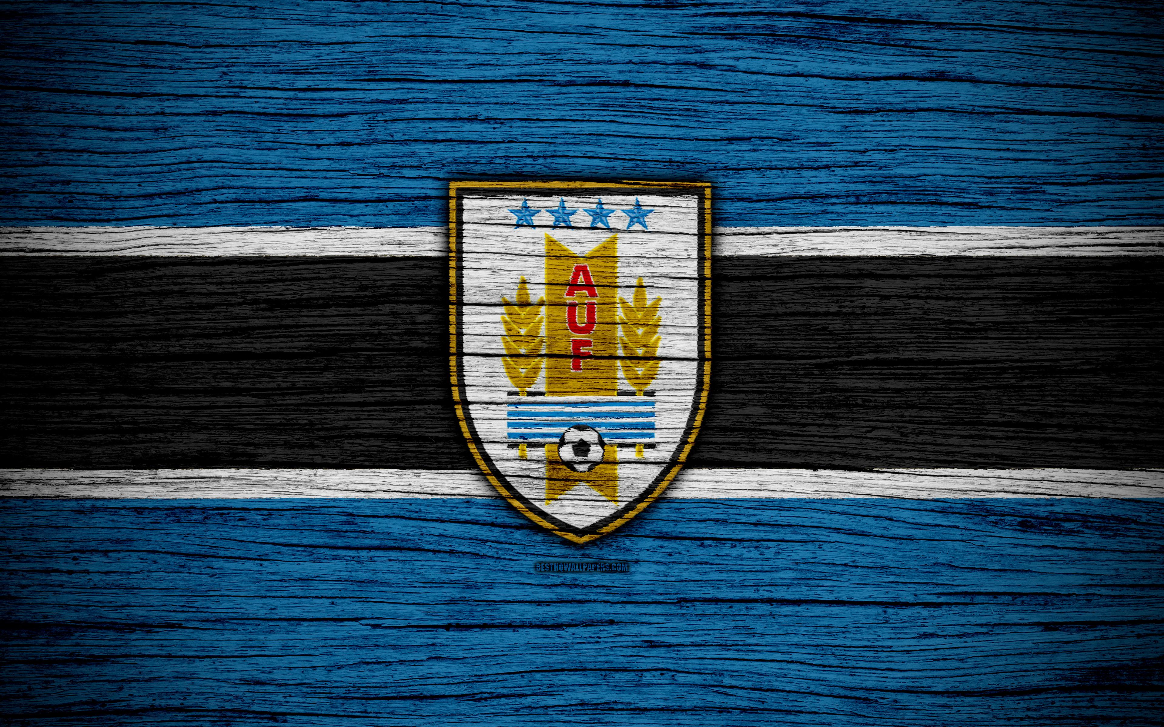 3840x2400 Uruguay Football Logo Wallpaper