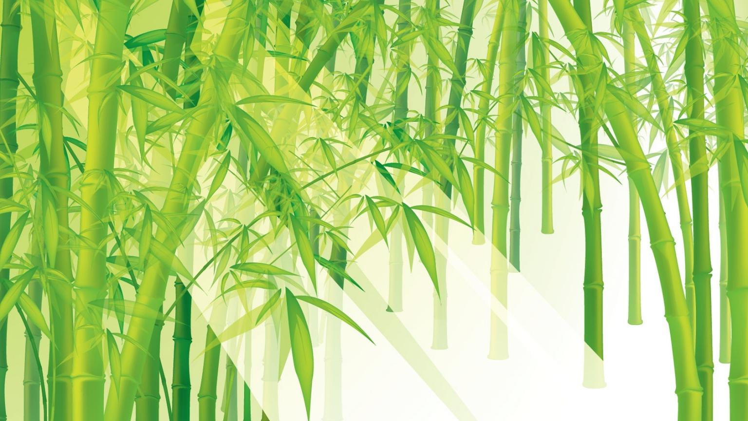 1536x864 Free download Download high resolution bamboo wallpaper HD wallpaper [1680x1050] for your Desktop, Mobile & Tablet. Explore Bamboo Looking Wallpaper. Bamboo Wallpaper Wall Coverings, Bamboo Wallpaper for Walls, Wallpaper Bamboo Pattern