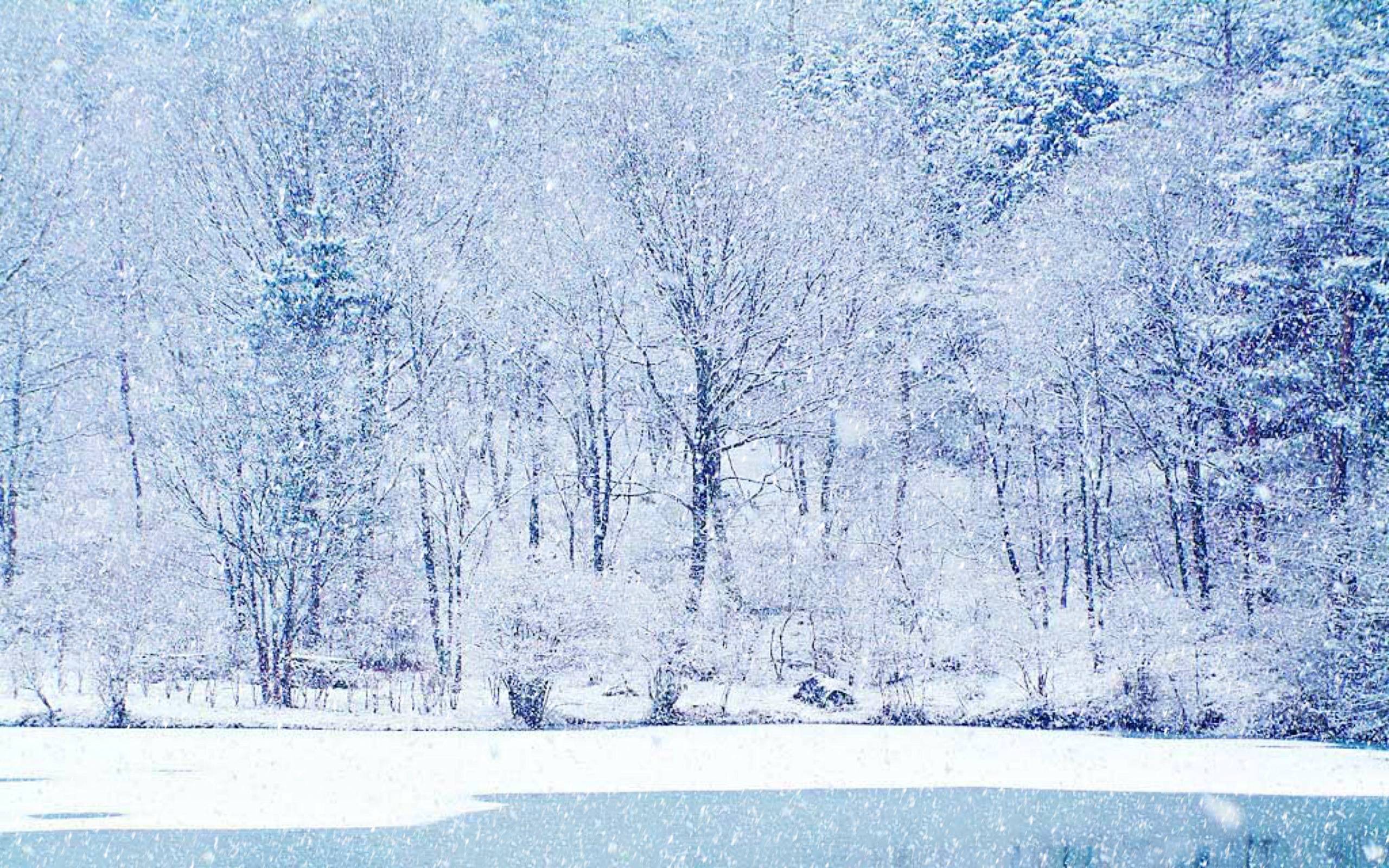 2560x1600 Anime Wallpaper Snow