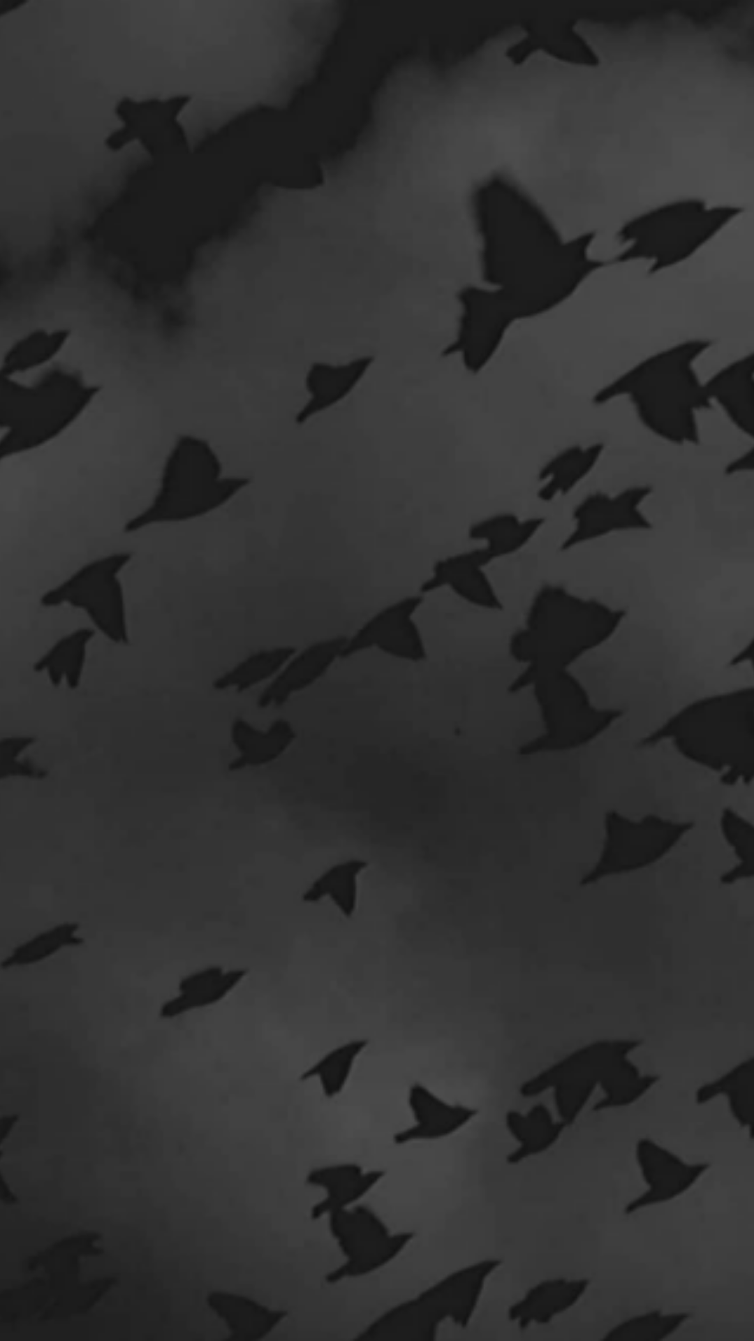 1080x1920 Black Aesthetic Wallpaper Choices (FREE). Bridal Shower 101