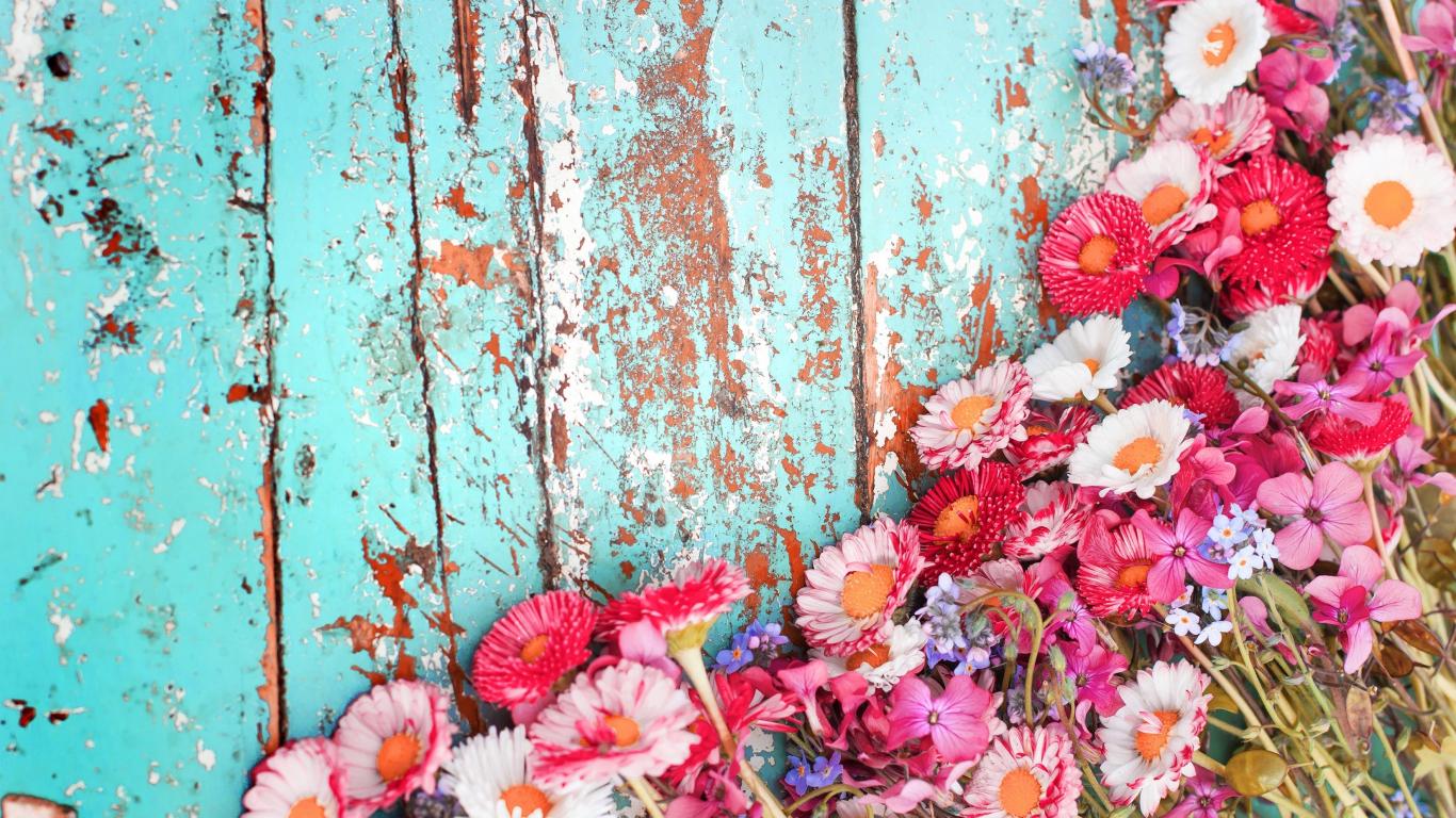 1366x768 Download 1366x768 wallpaper flowers, white, red and pink flowers, tablet, laptop, 1366x768 HD image, background, 1105