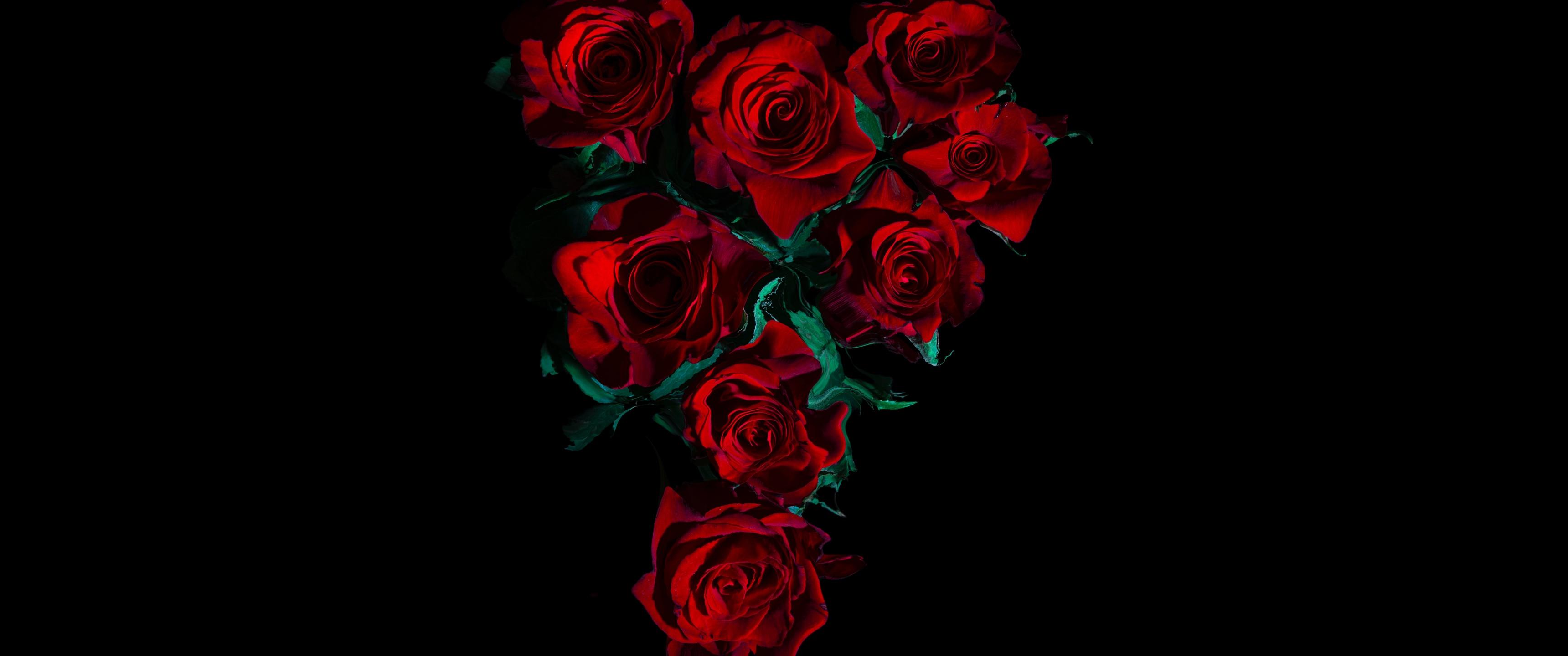3440x1440 Red Roses Wallpaper 4K, Flower bouquet, Black background, 5K, 8K, Flowers