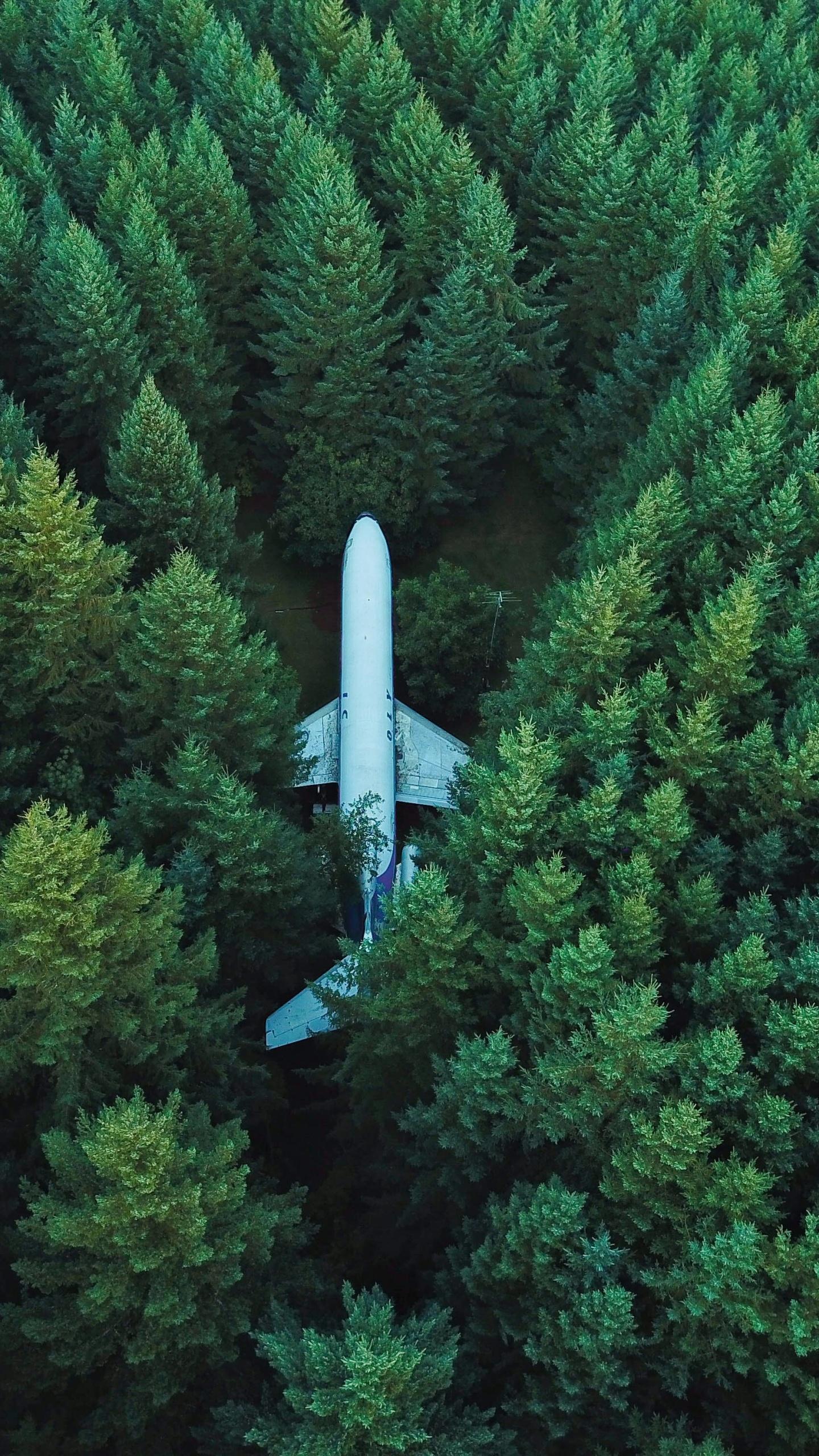 1440x2560 Airplane Wallpaper 4K, Green Trees, Aerial view, Forest, Photography