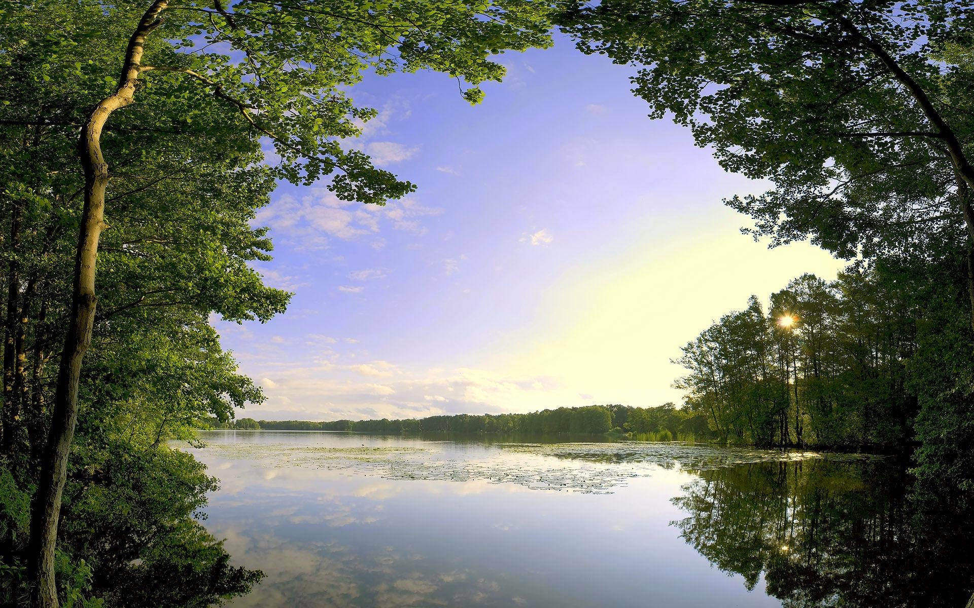 1920x1200 Majestic Lake & Nice Forest wallpaper. Majestic Lake & Nice Forest