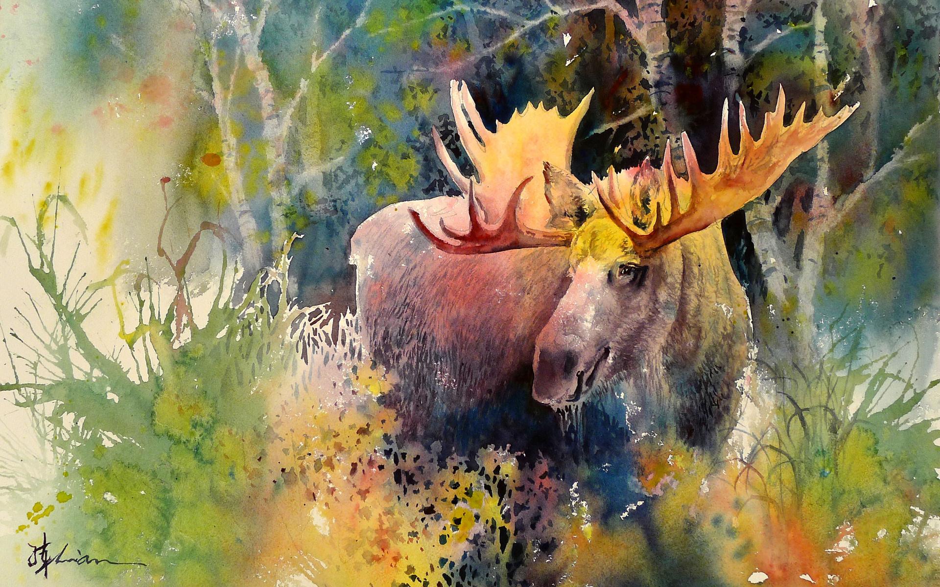 1920x1200 Majestic Moose Great Forest wallpaper. Majestic Moose Great Forest