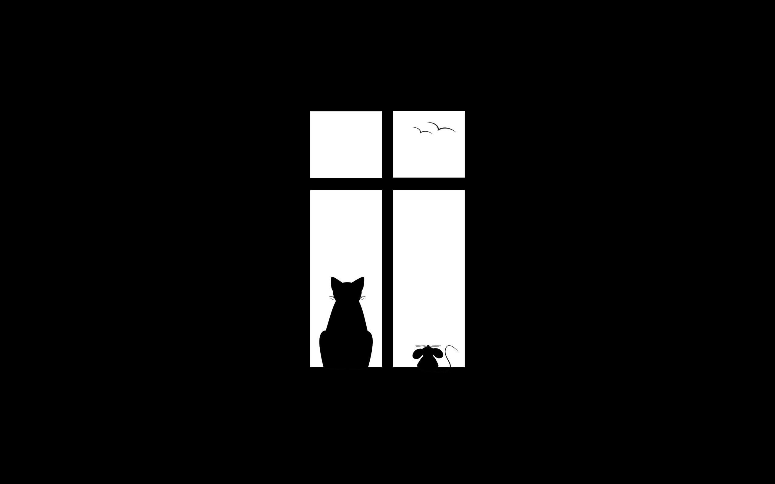 2560x1600 minimalism artwork black background animals black white cat birds wallpaper
