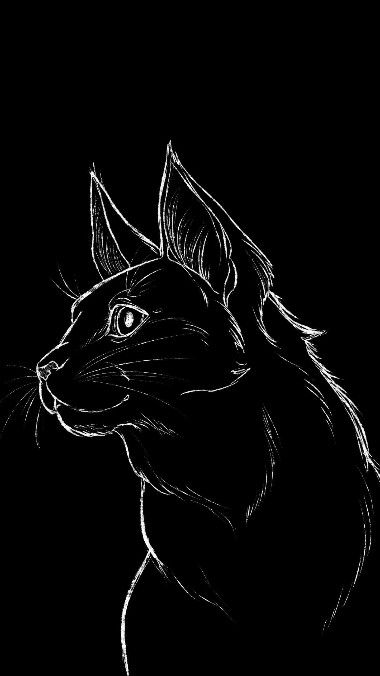 Black and White Cat Art Wallpapers - Top Free Black and White Cat Art