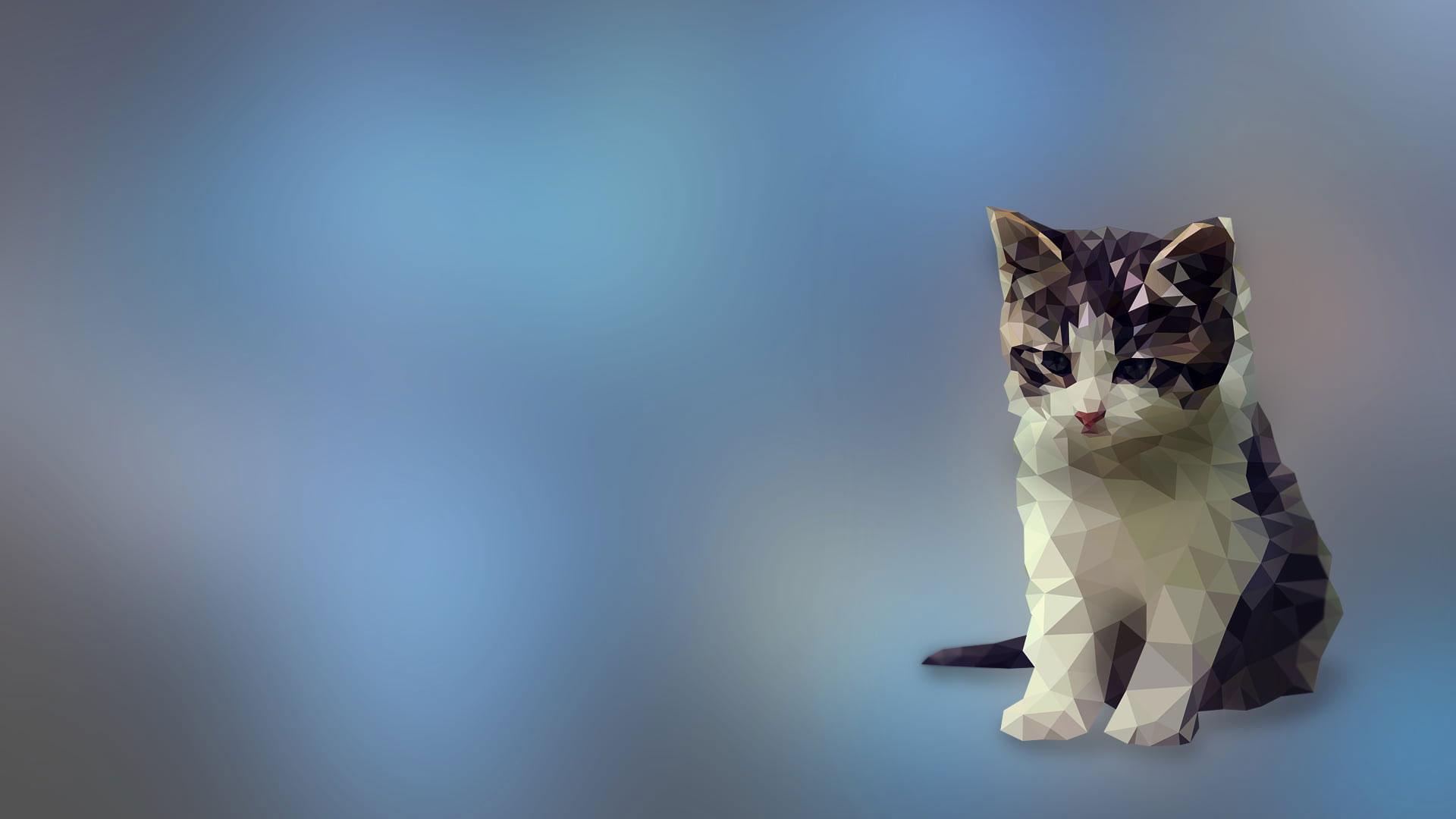 1920x1080 Polygon wallpaper, geometric white and black kitten illustration, white and black cat illustration • Wallpaper For You HD Wallpaper For Desktop & Mobile