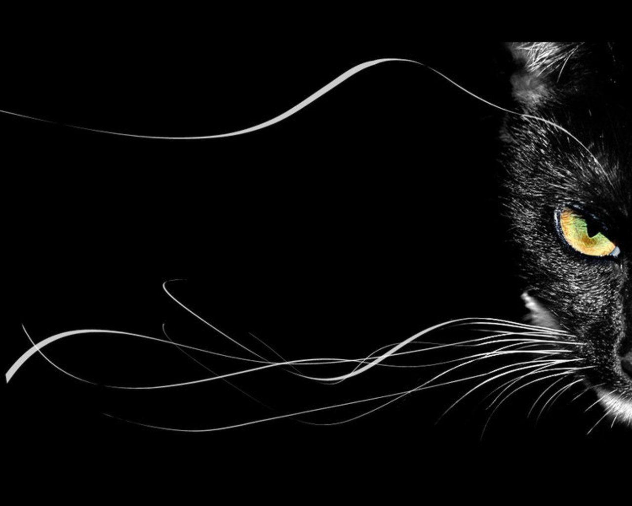 1280x1024 Dark Cat Wallpaper