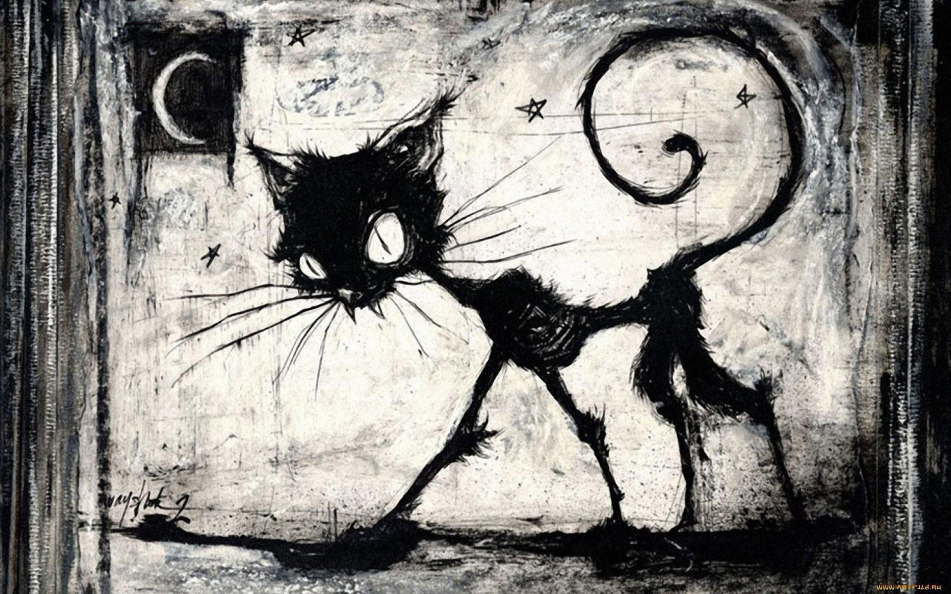1920x1200 Scary Black Cat 824041 Data Src Gothic Wallpaper Cat Edgar Allan Poe Drawing