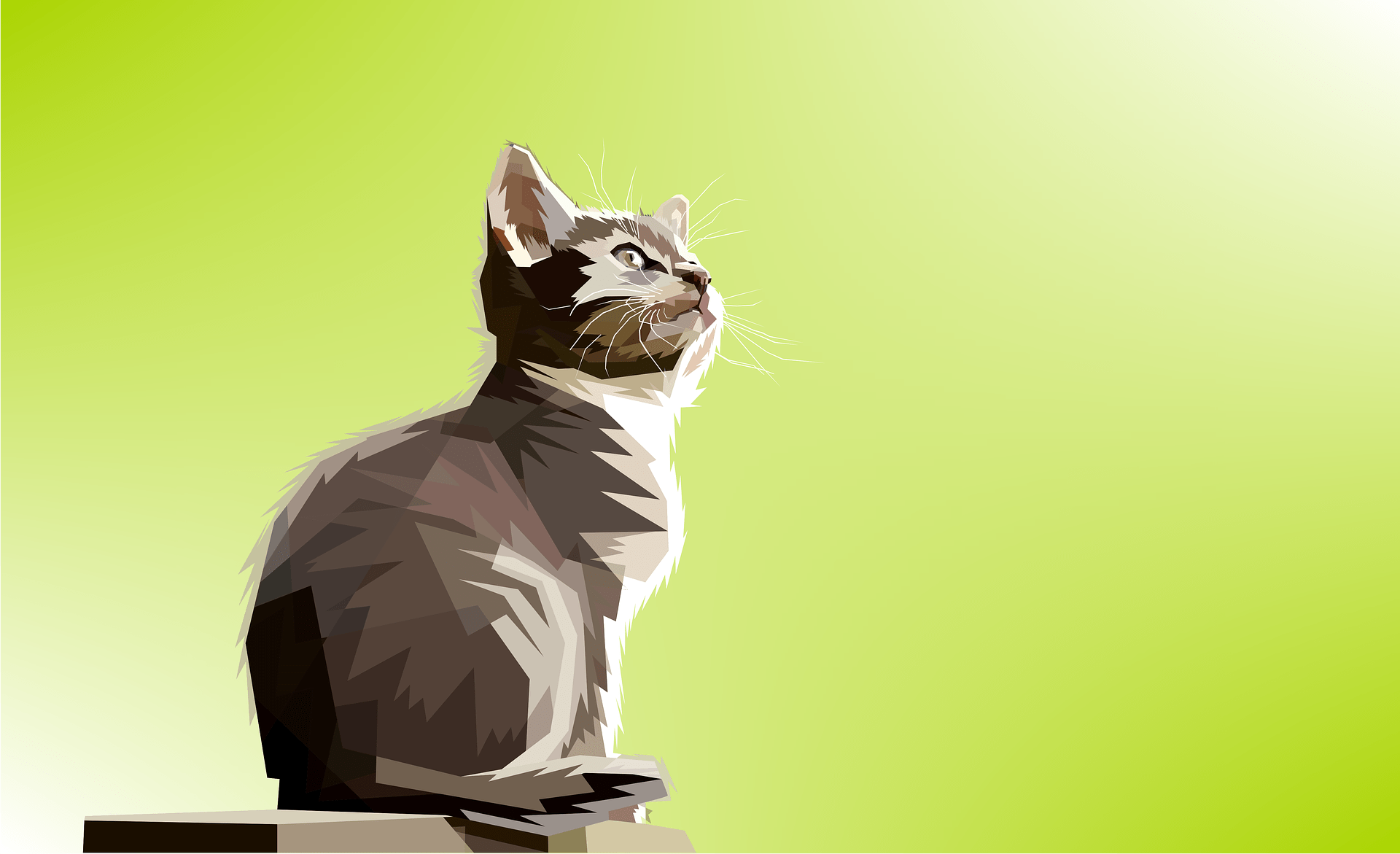 1920x1171 Artistic Cat Pop Art HD Wallpaper