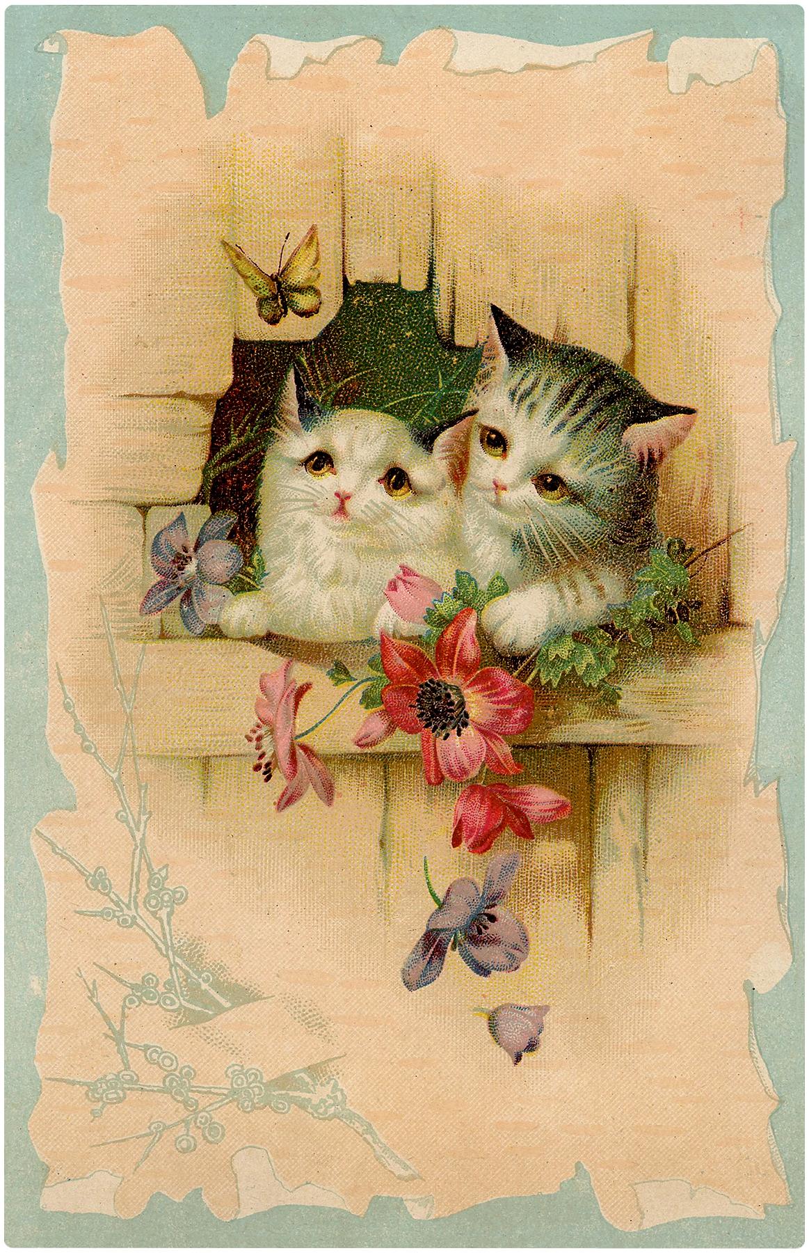 1163x1800 Beautiful Vintage Kitten and Cat Picture! Graphics Fairy