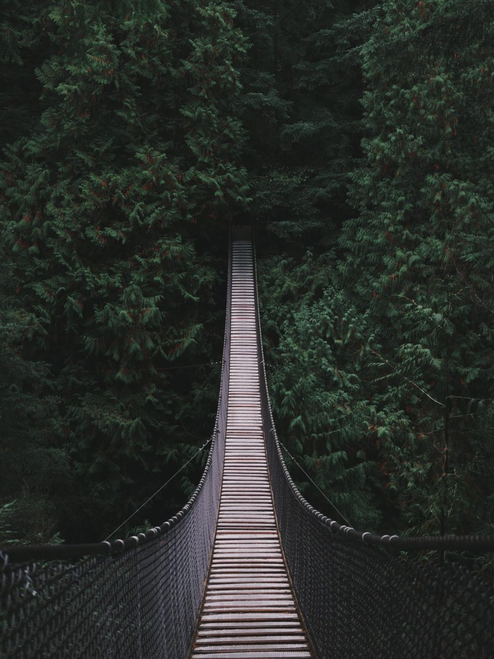 1000x1335 Bridge Picture. Download Free Image