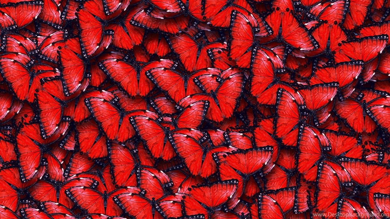 1366x768 Red Butterfly Pattern Wallpaper Desktop Background