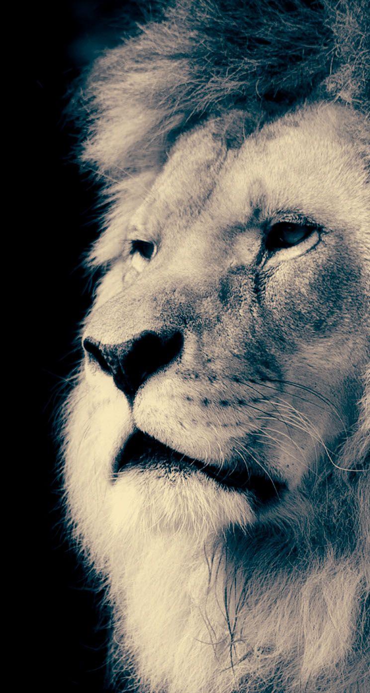744x1392 Majestic iPhone Wallpaper