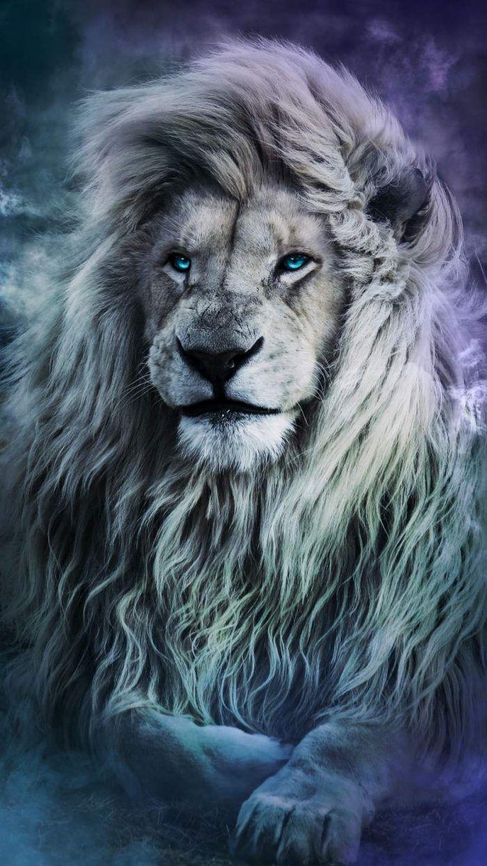 700x1244 Animal Wallpaper Wallpaper : iPhone Wallpaper. Рыжие волки, Портреты домашних животных, Домашнее животное