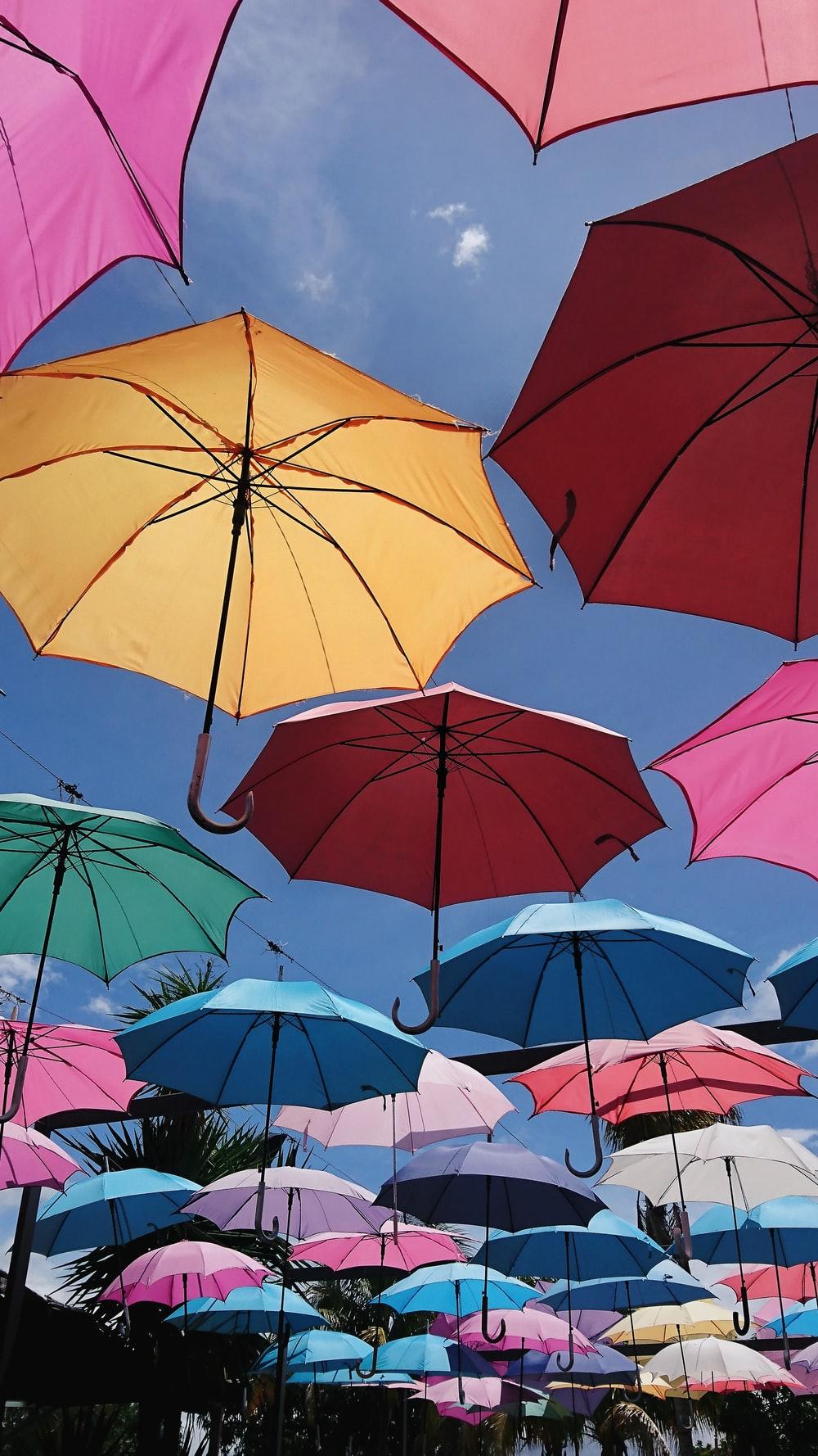 1000x1778 Colorful Umbrella Picture. Download Free Image