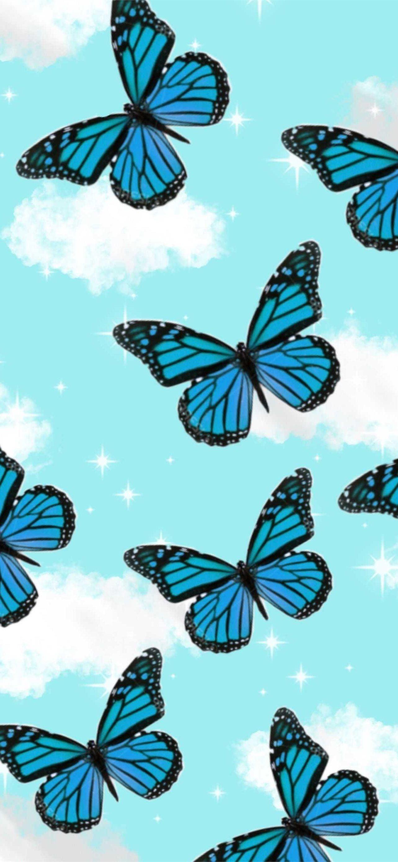 1284x2778 butterfly iPhone Wallpaper Free Download