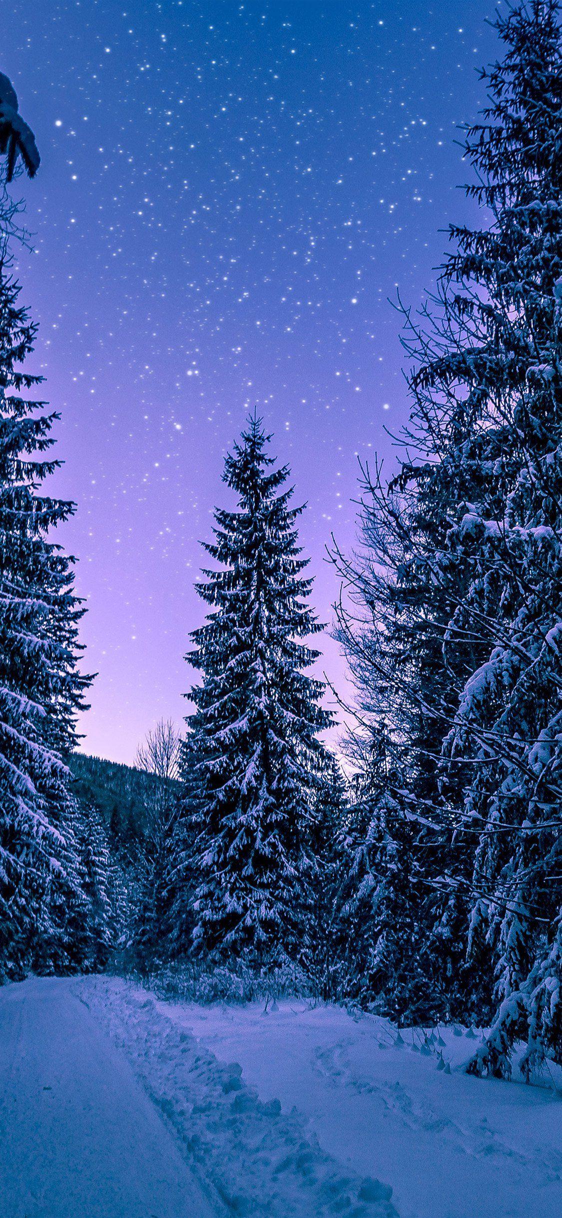 1125x2436 Winter iPhone HD Wallpaper