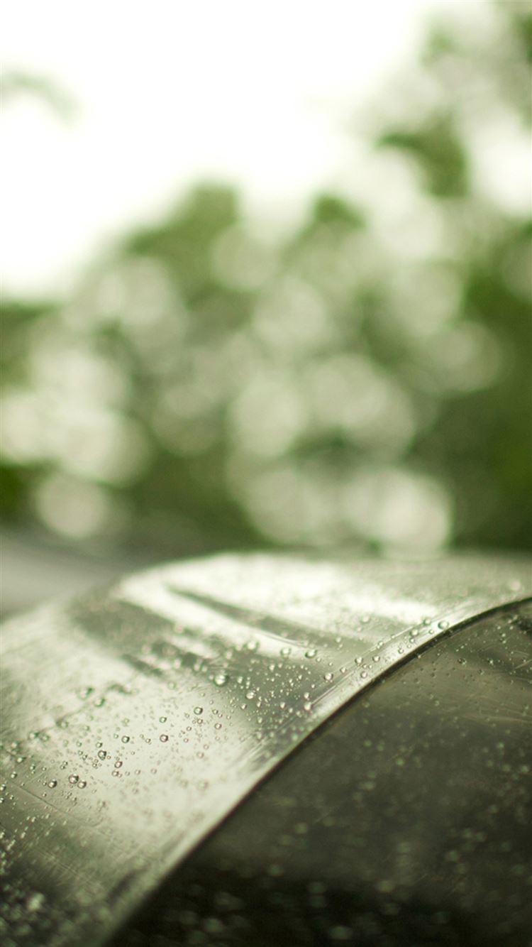 750x1334 Abstract Rainy Dew Transparent Umbrella Bokeh iPhone 8 Wallpaper Free Download