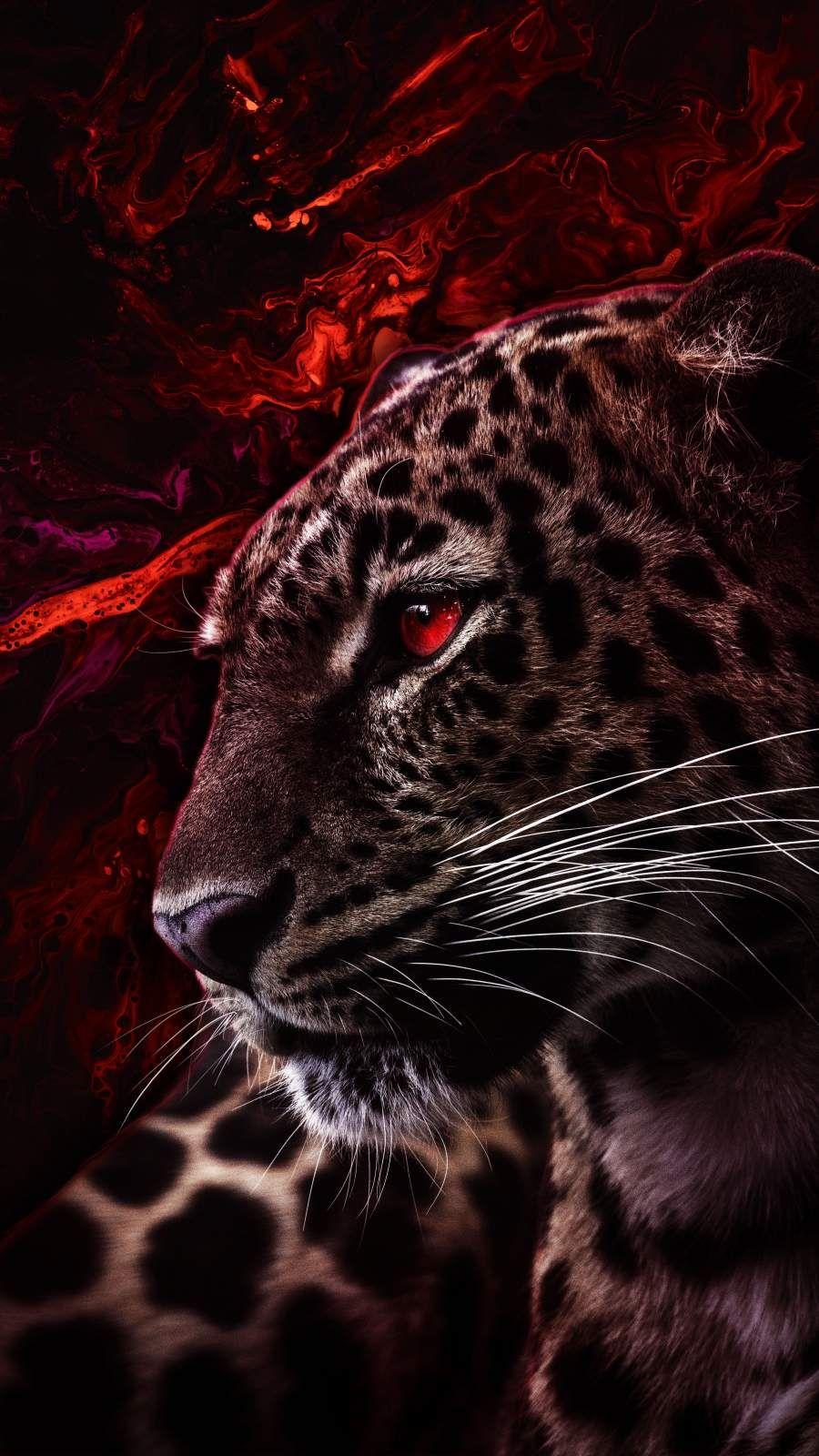 900x1600 iPhone Wild Wallpaper