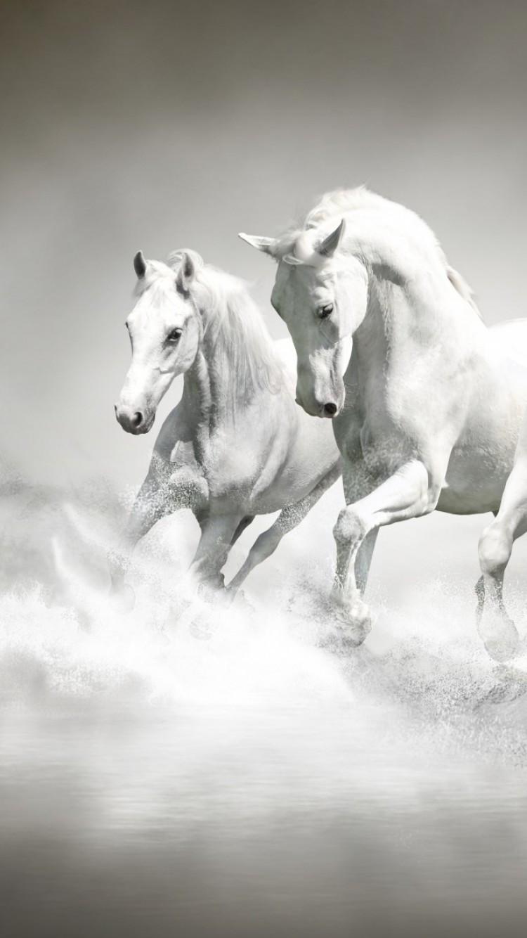 750x1334 Download 750x1334 White Horses, Majestic, Running, Water Splash, Beach Wallpaper for iPhone iPhone 6