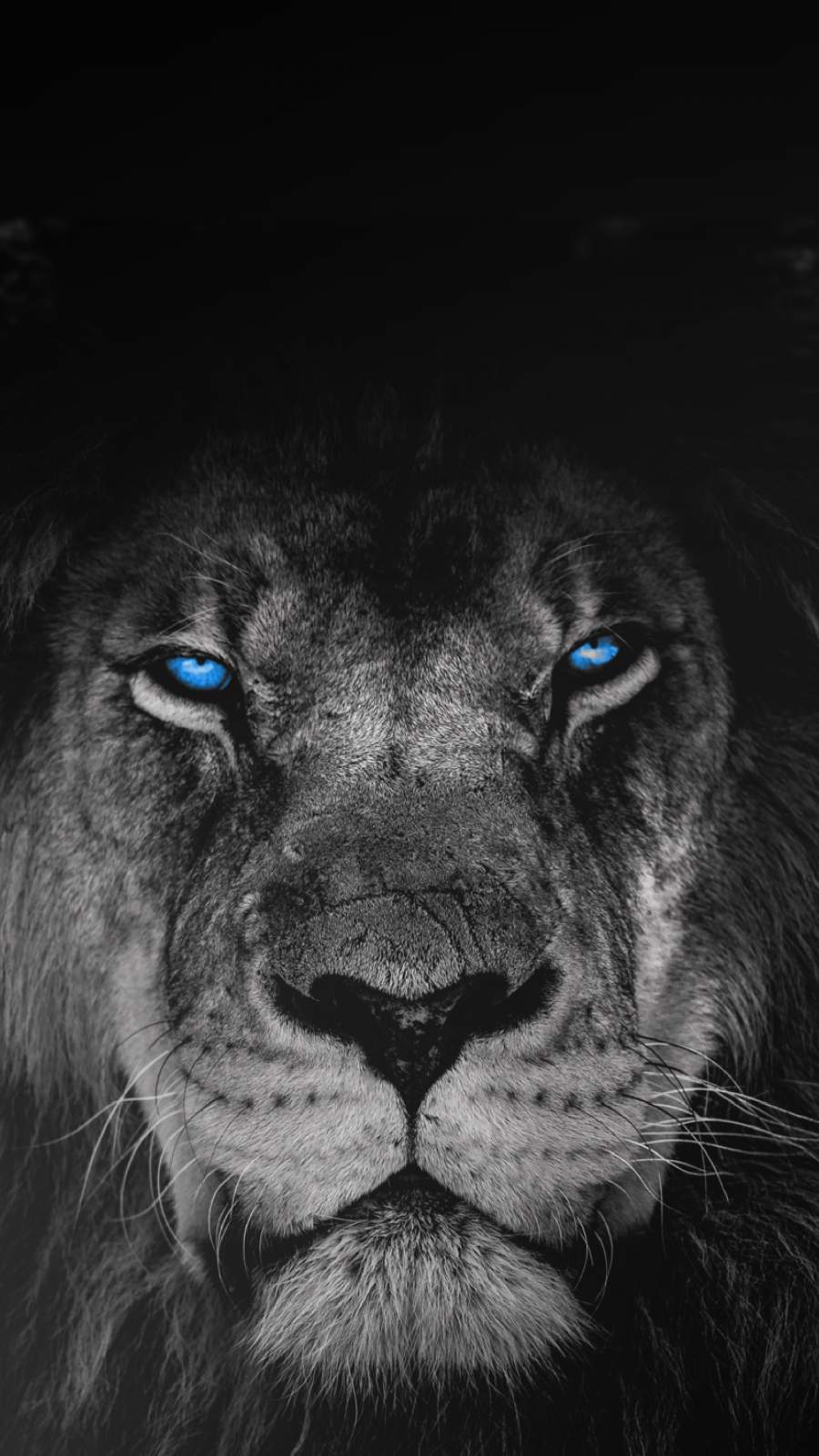 900x1600 Predator Sense iPhone Wallpaper Wallpaper : iPhone Wallpaper