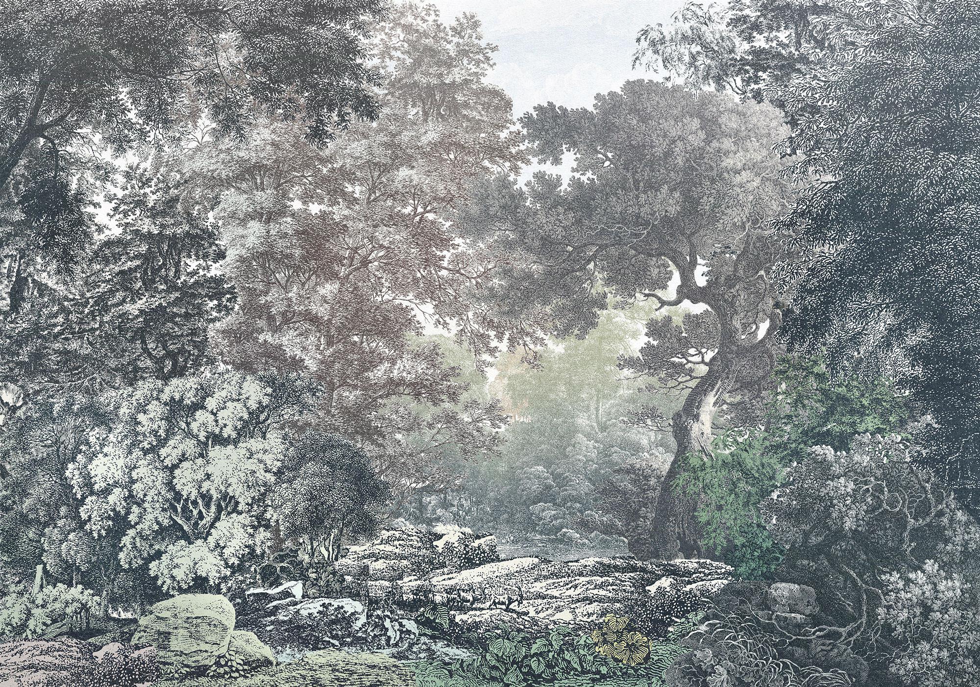 2000x1401 Fairytale Forest