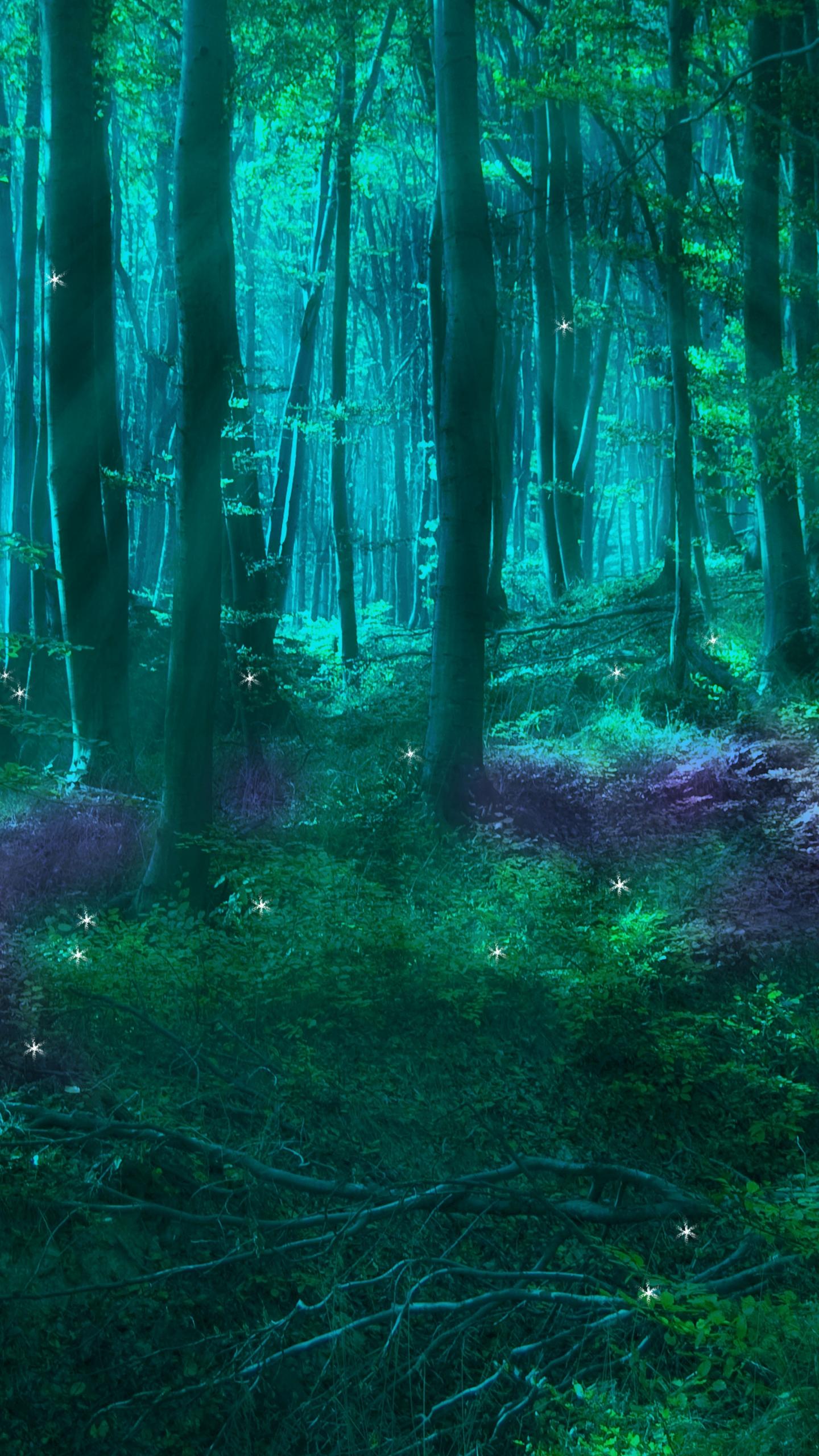 Fairy Tale Forest Wallpapers - Top Free Fairy Tale Forest Backgrounds ...