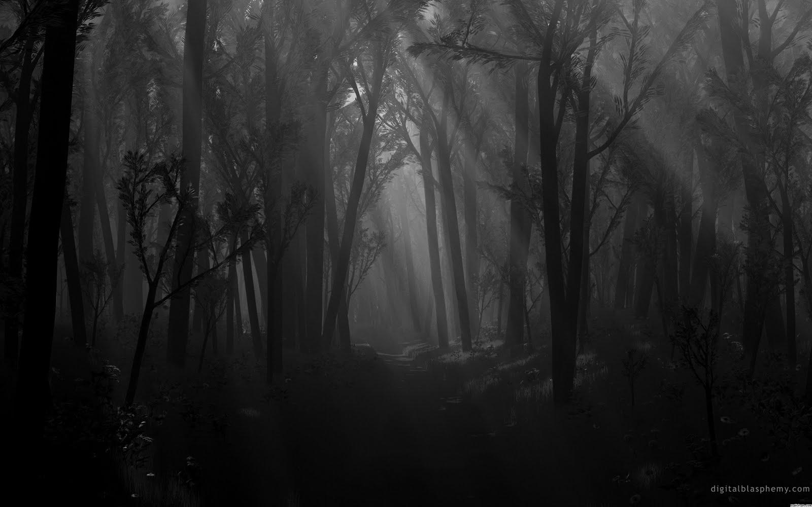 1600x1000 Creepy Forest Wallpaper