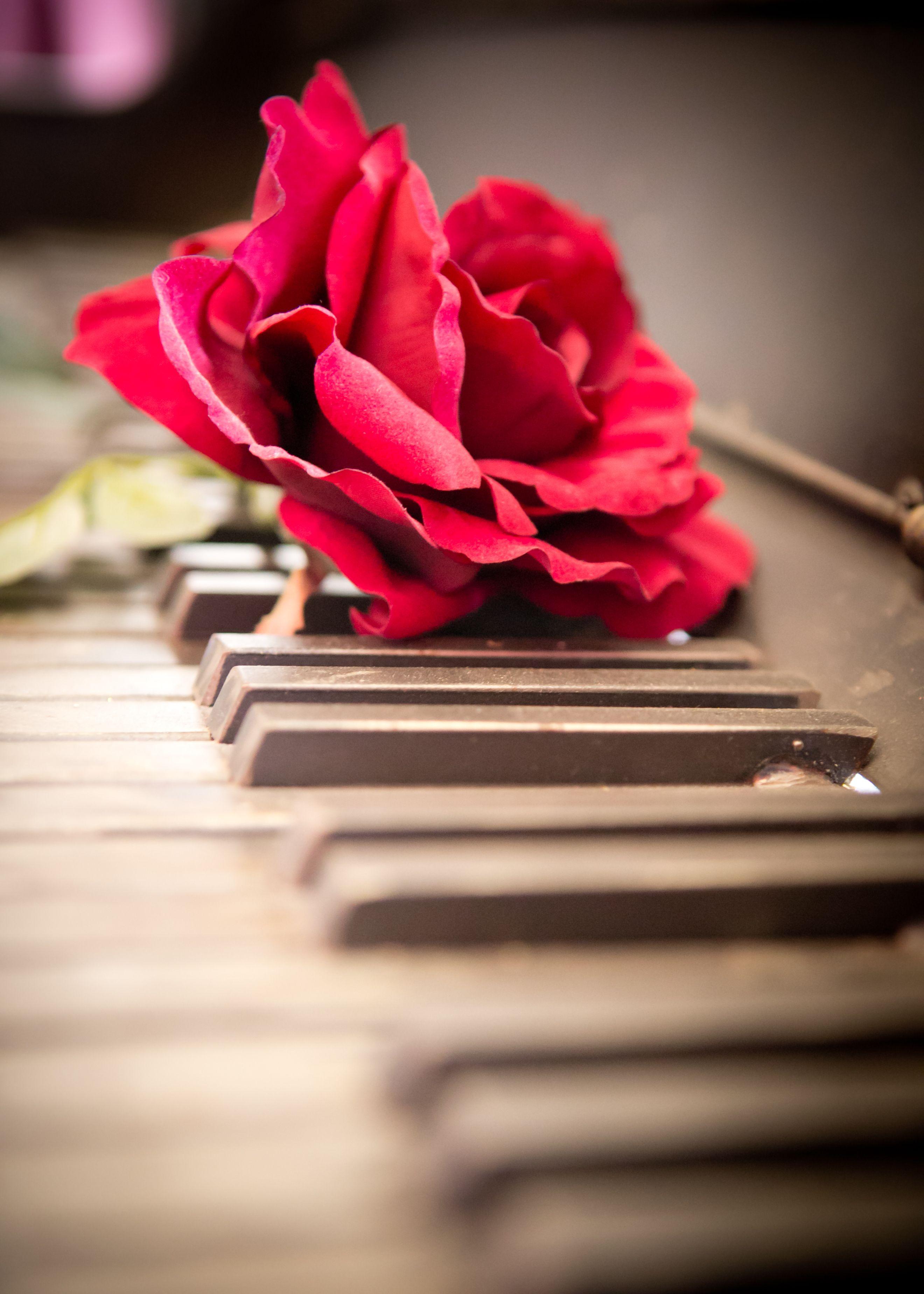 Flower melody. Рояль с цветами. Цветы на рояле. Фортепиано и цветы. Цветы на пианино.