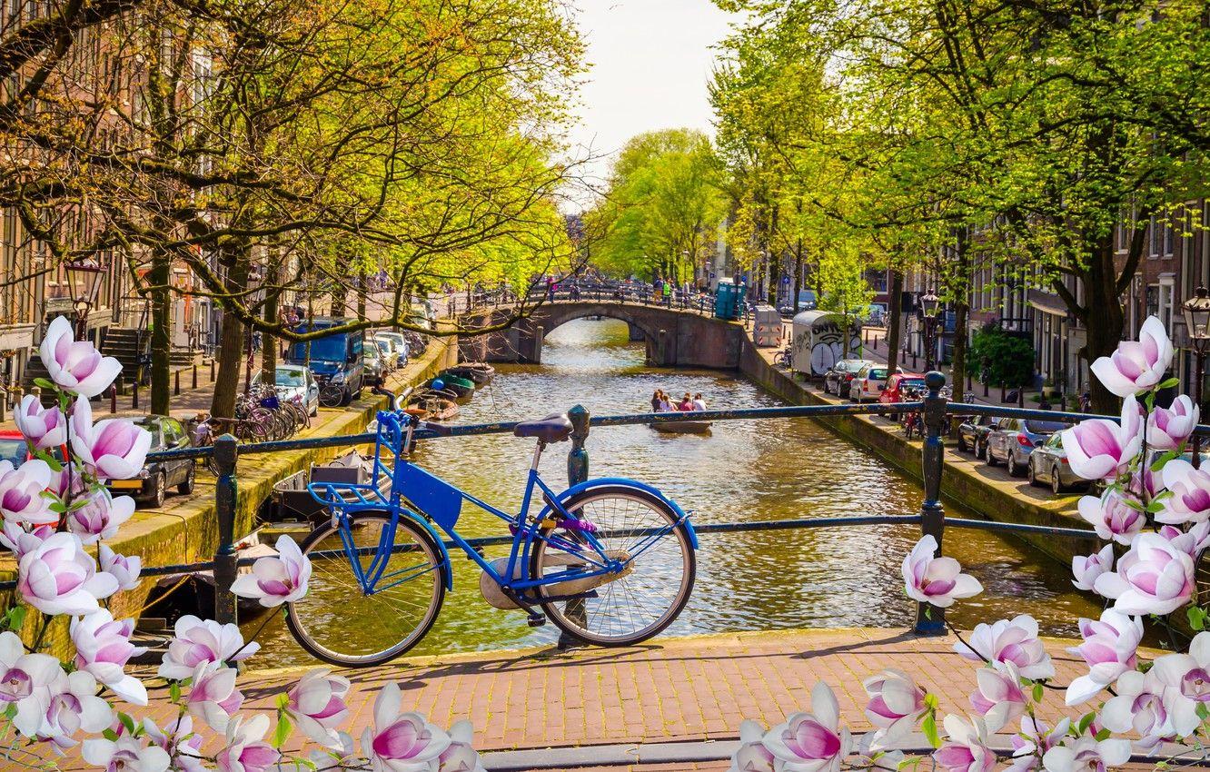 Amsterdam Spring Wallpapers - Top Free Amsterdam Spring Backgrounds -  WallpaperAccess
