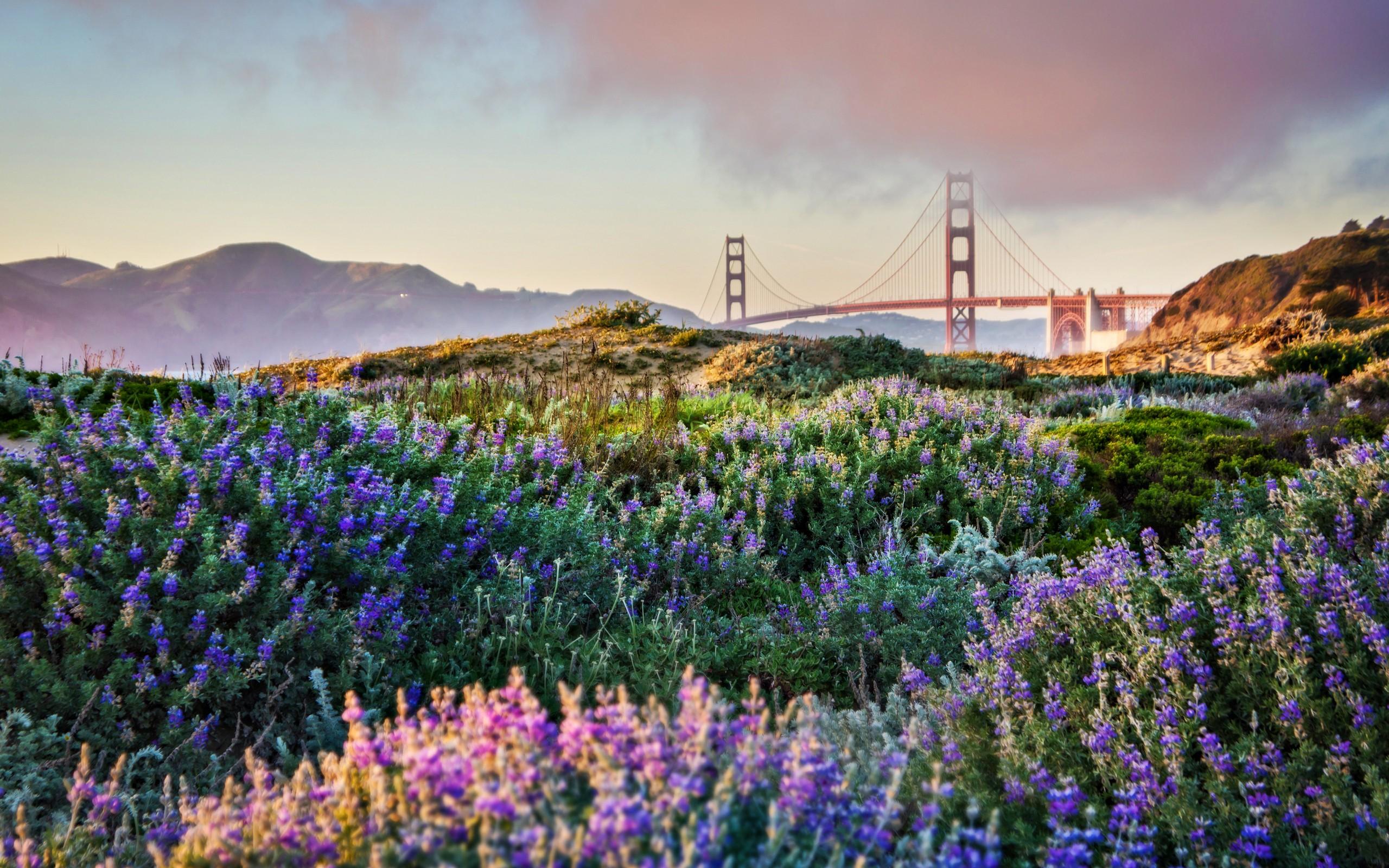 2560x1600 Golden Gate Wallpaper. HD Golden Gate Background