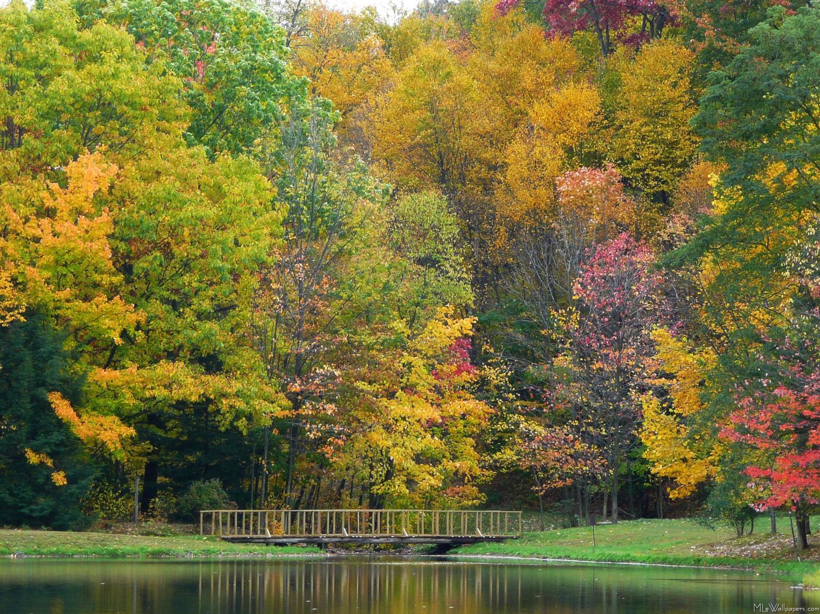 1601x1200 MLeWallpaper.com Springs Fall Bridge II